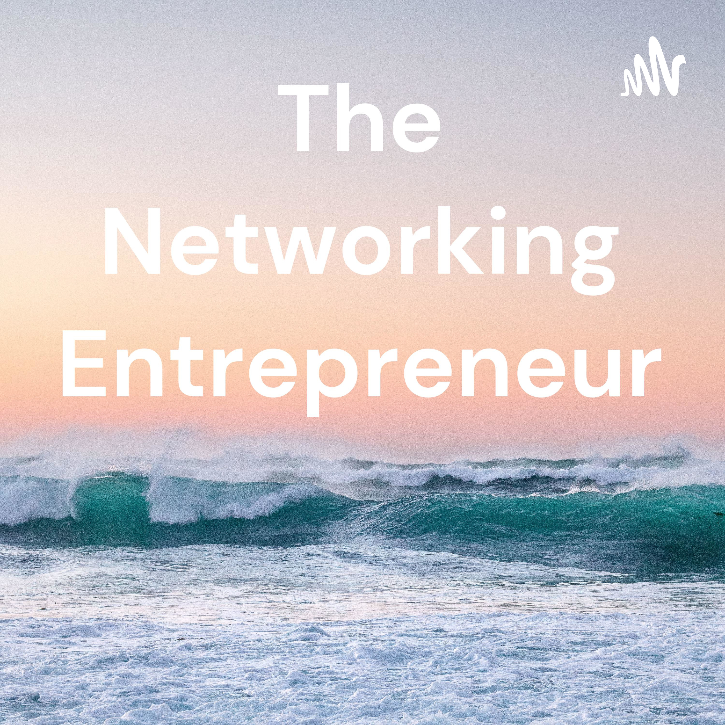 The Networking Entrepreneur podcast artwork