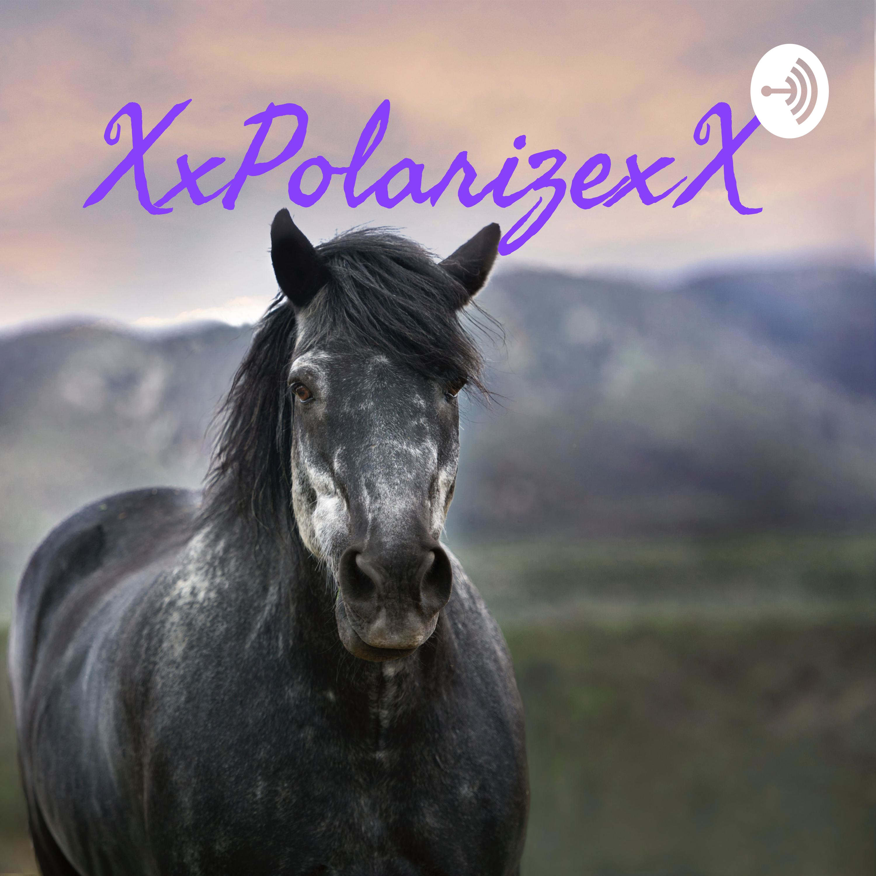 XxPolarizexX 