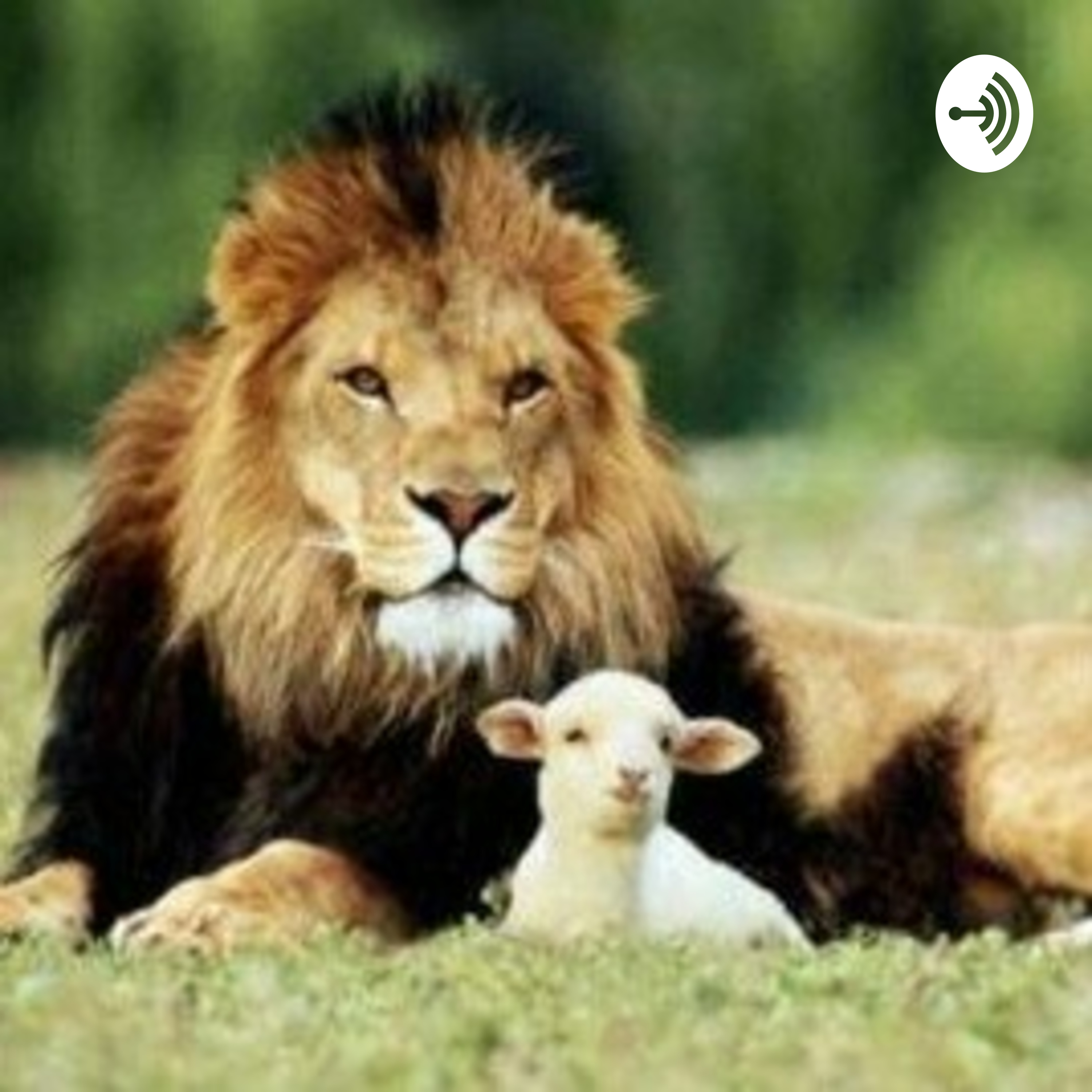 Leitura Bíblia Sagrada