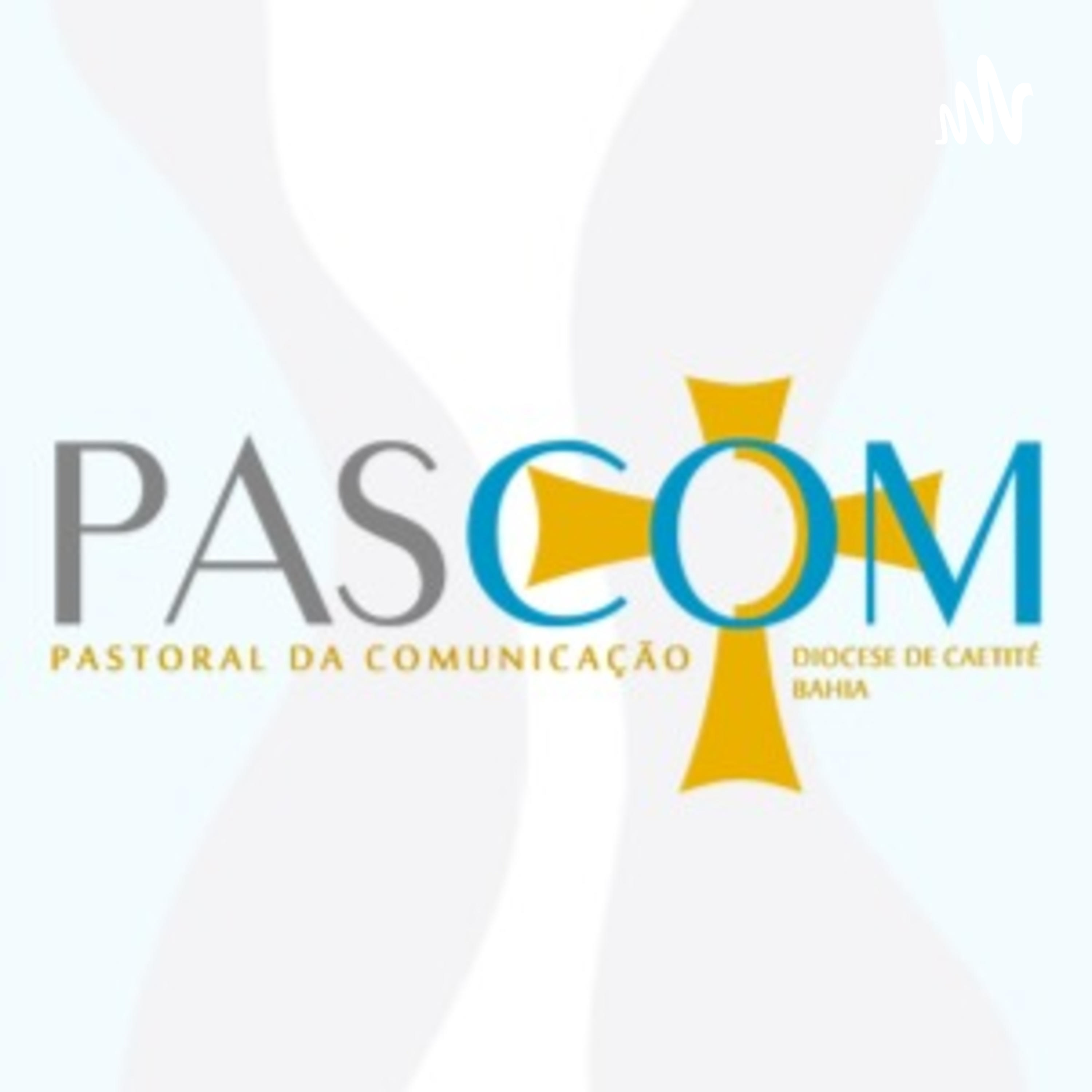 Comunicarte 28-11-2022