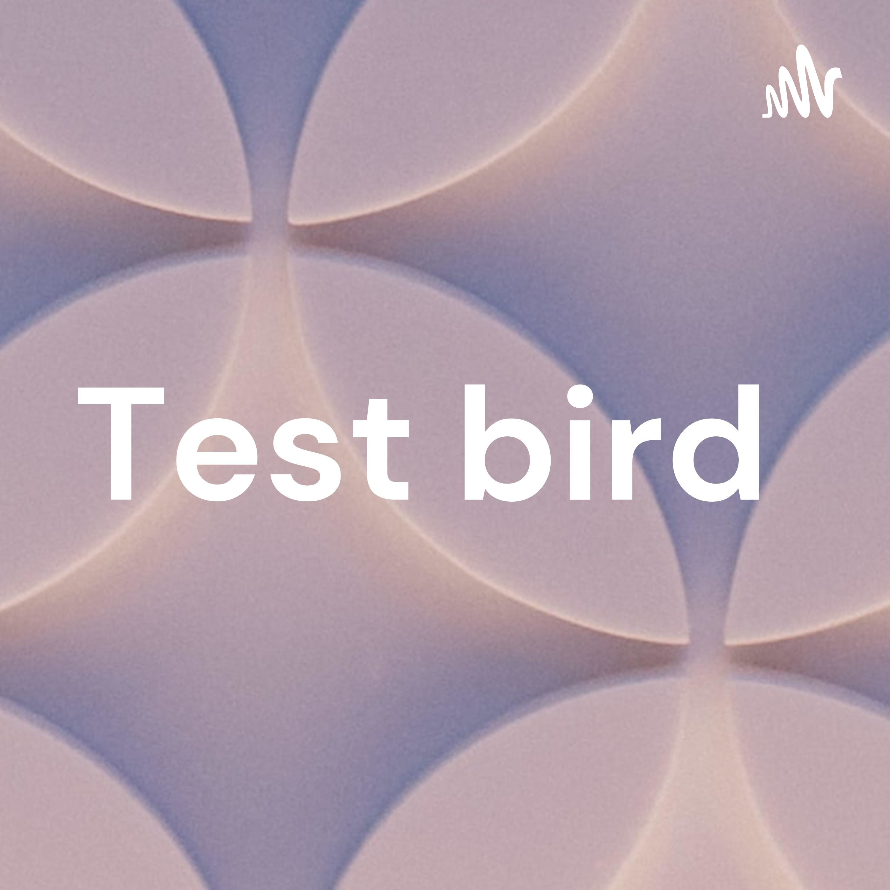 Test bird podcast artwork