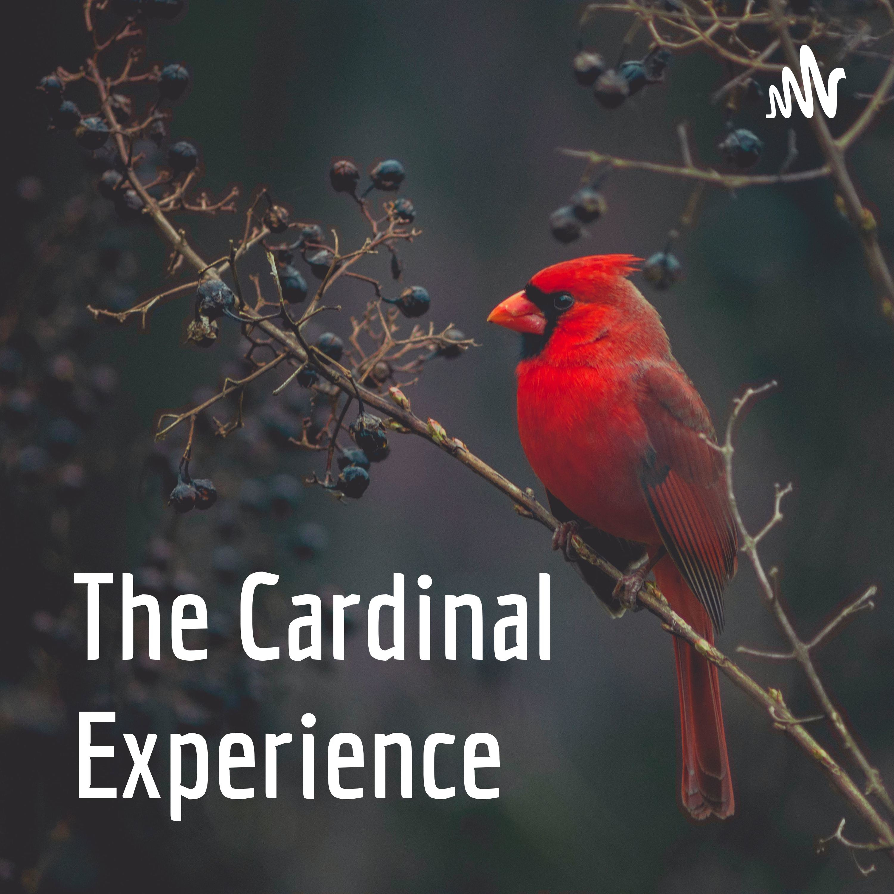 Podcast The Cardinal Experience