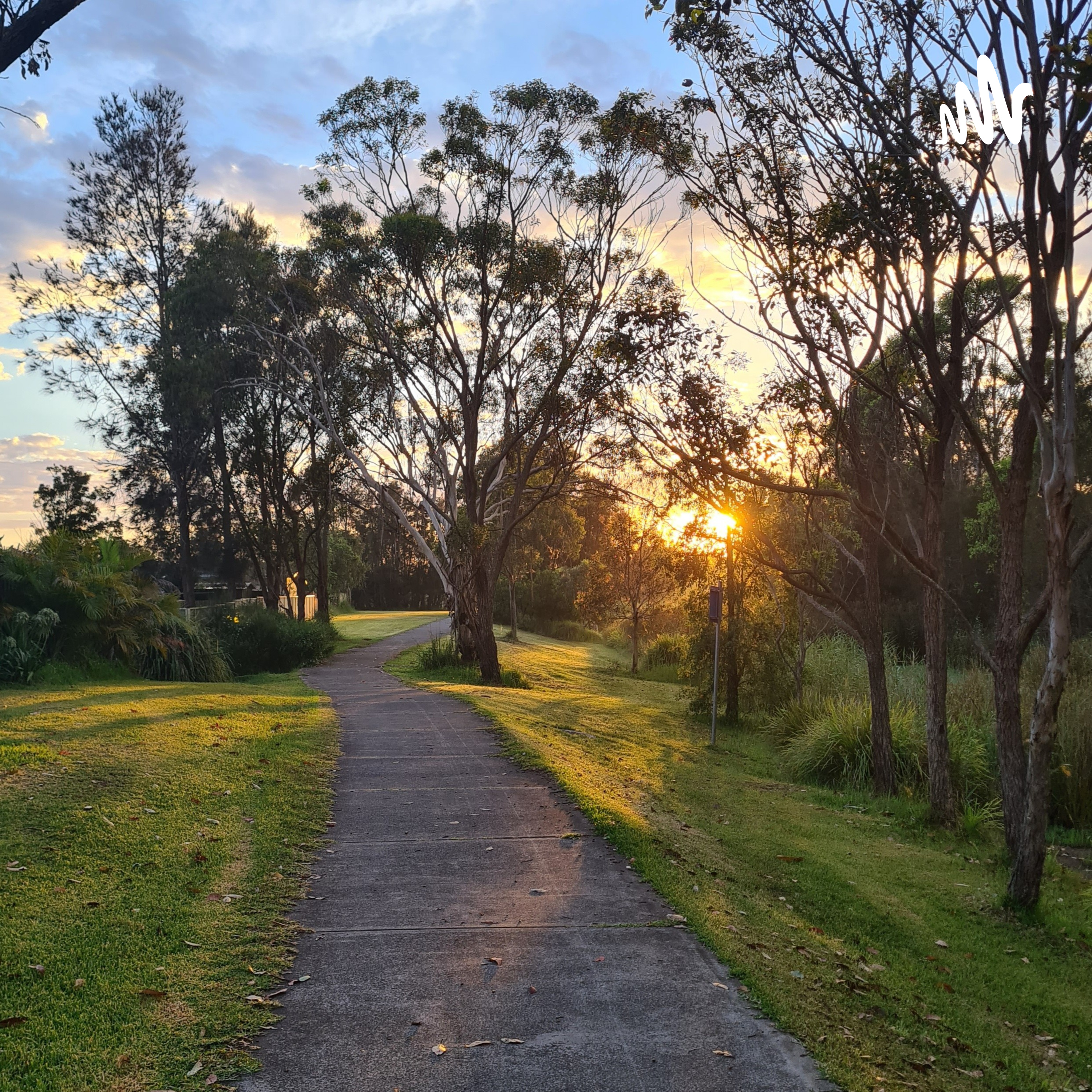 Momentous Experience