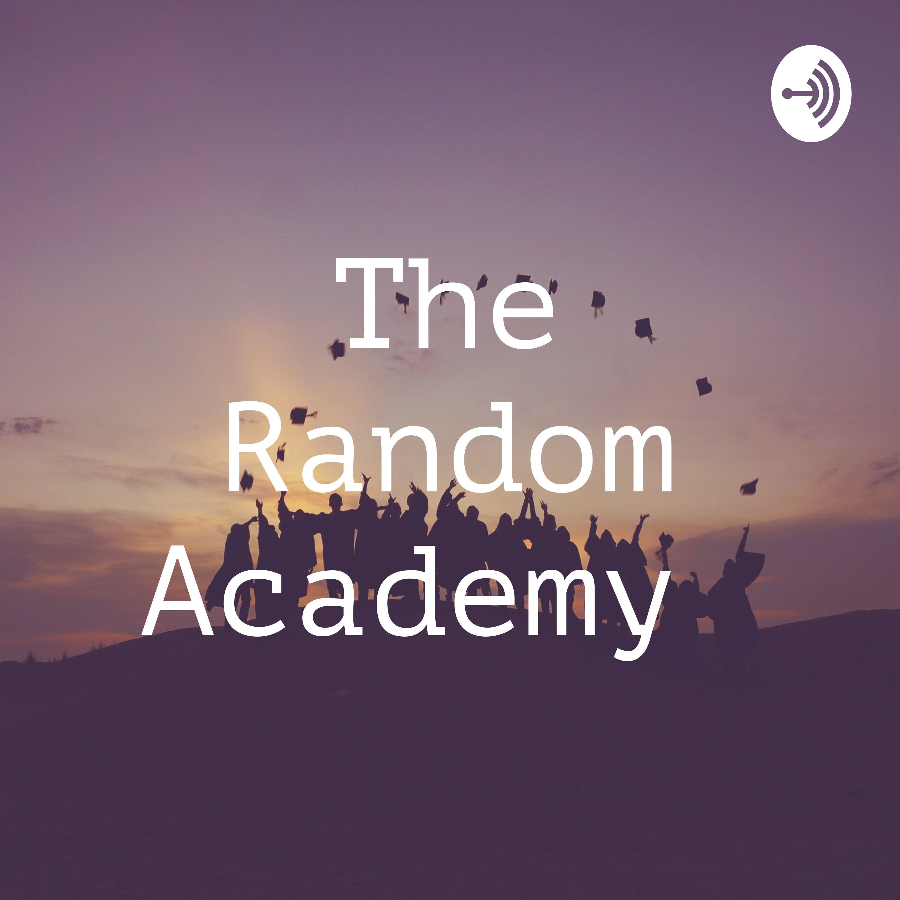 The Random Academy 