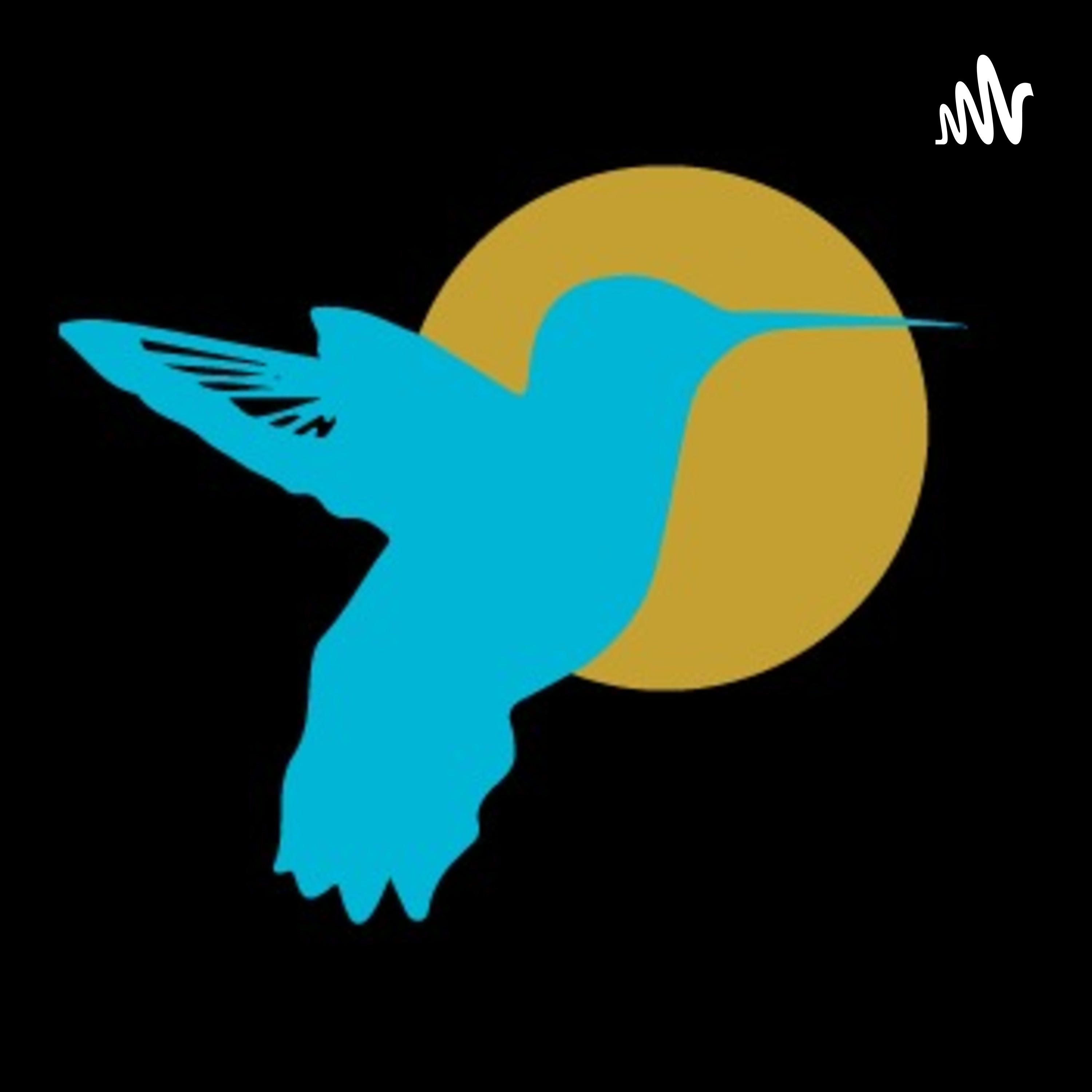 Port of Spain Church of Christ Weekly Sermons