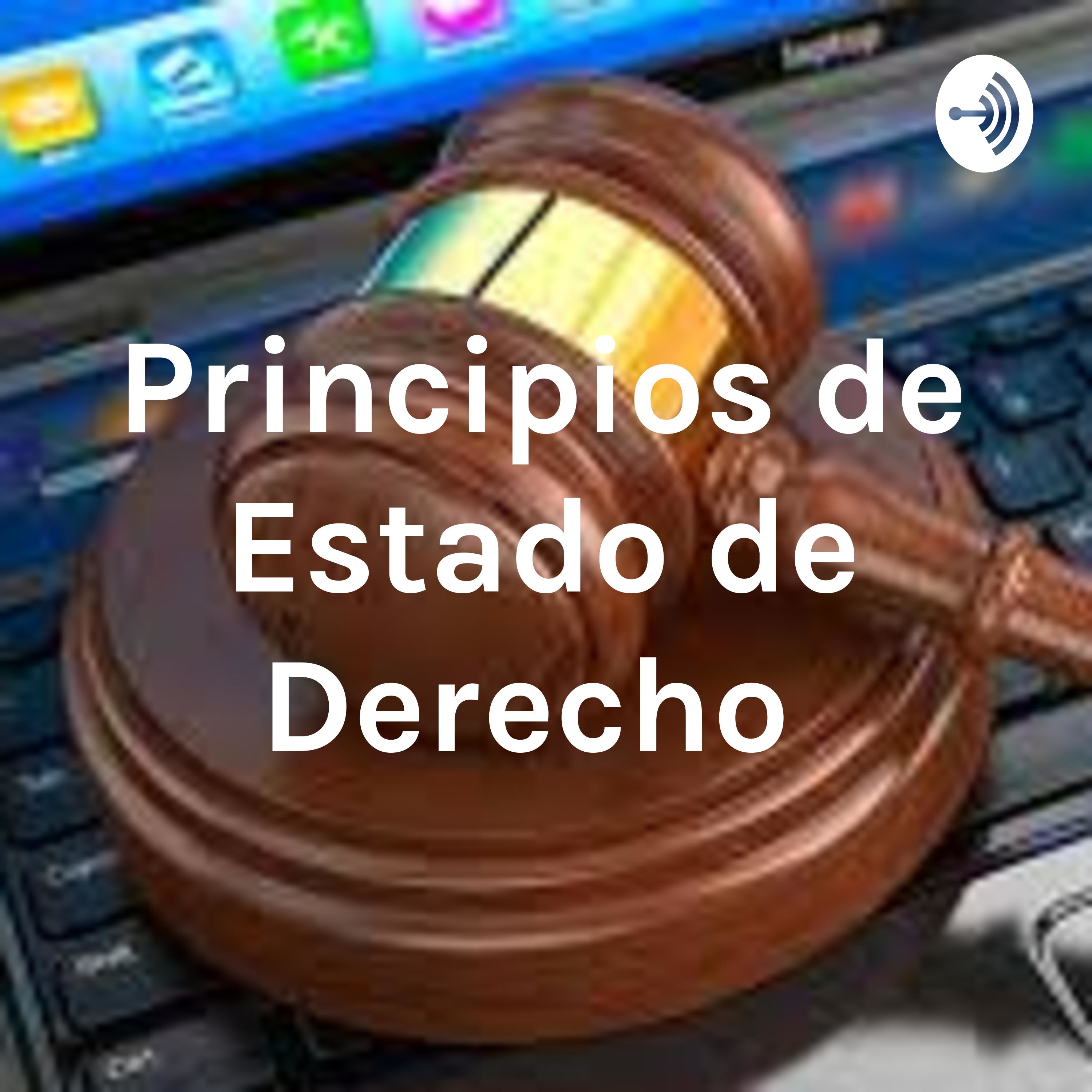 Principios de Estado de Derecho 