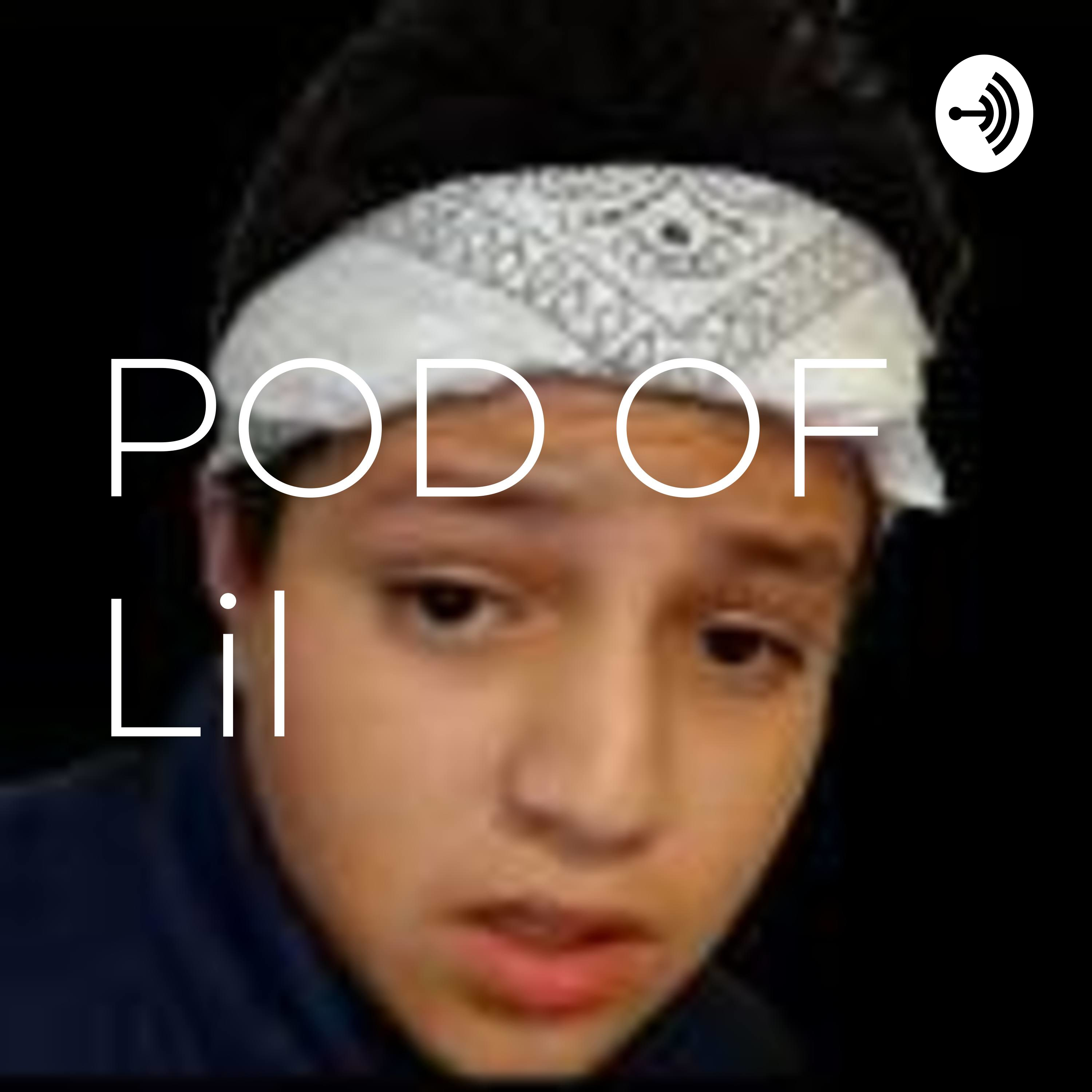 POD OF Lil S2 POD OF Lil S2