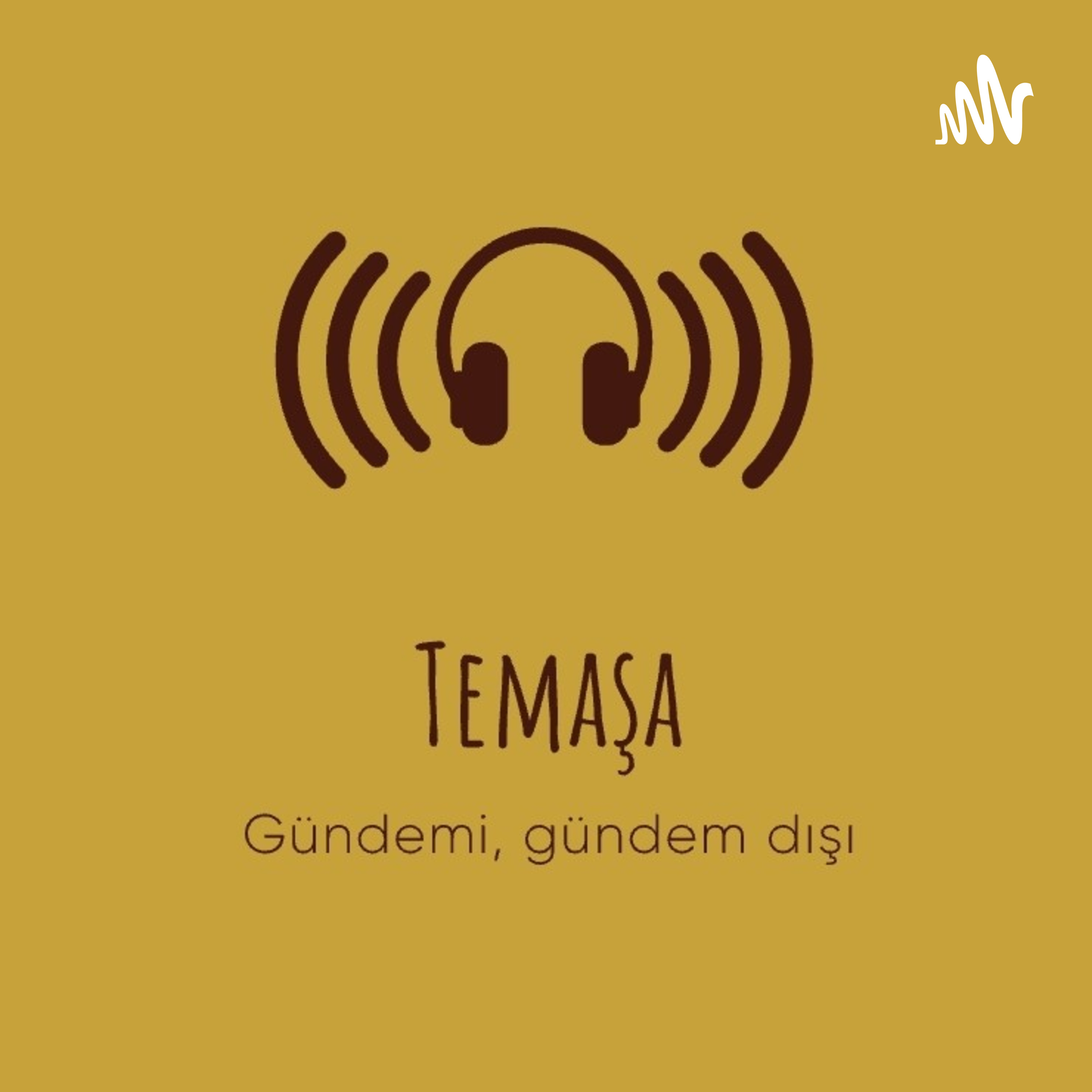 Temaşa - 13 - Akıl Hocalığı episode artwork
