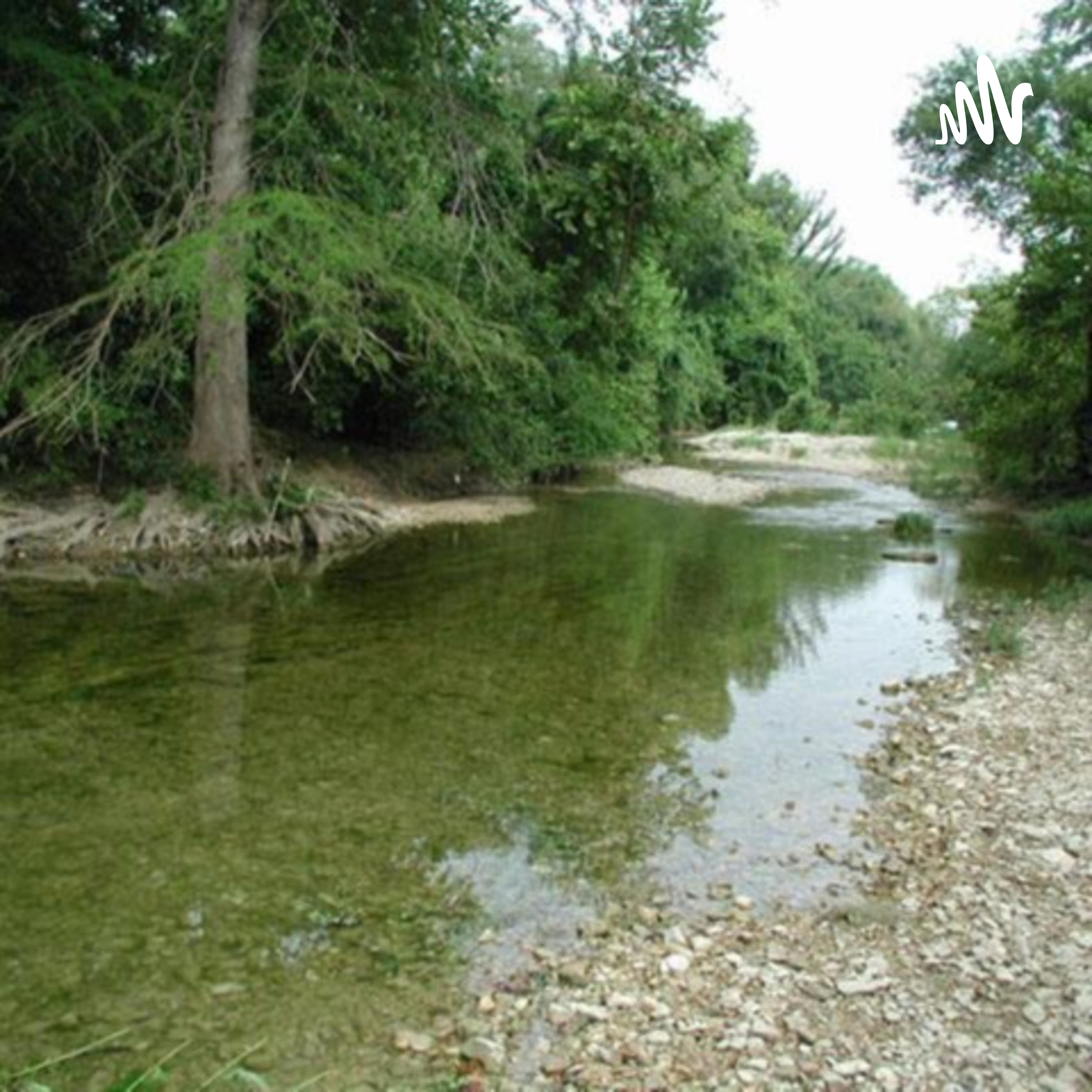 Down at the Creek. podcast artwork