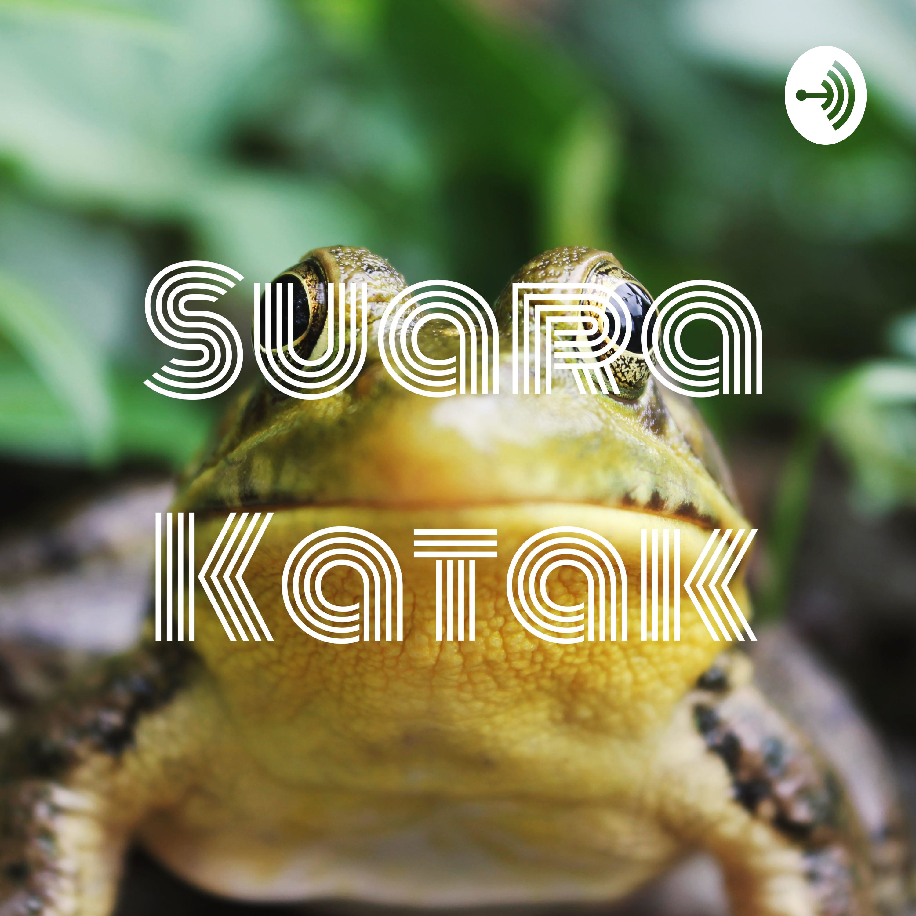 Suara Katak