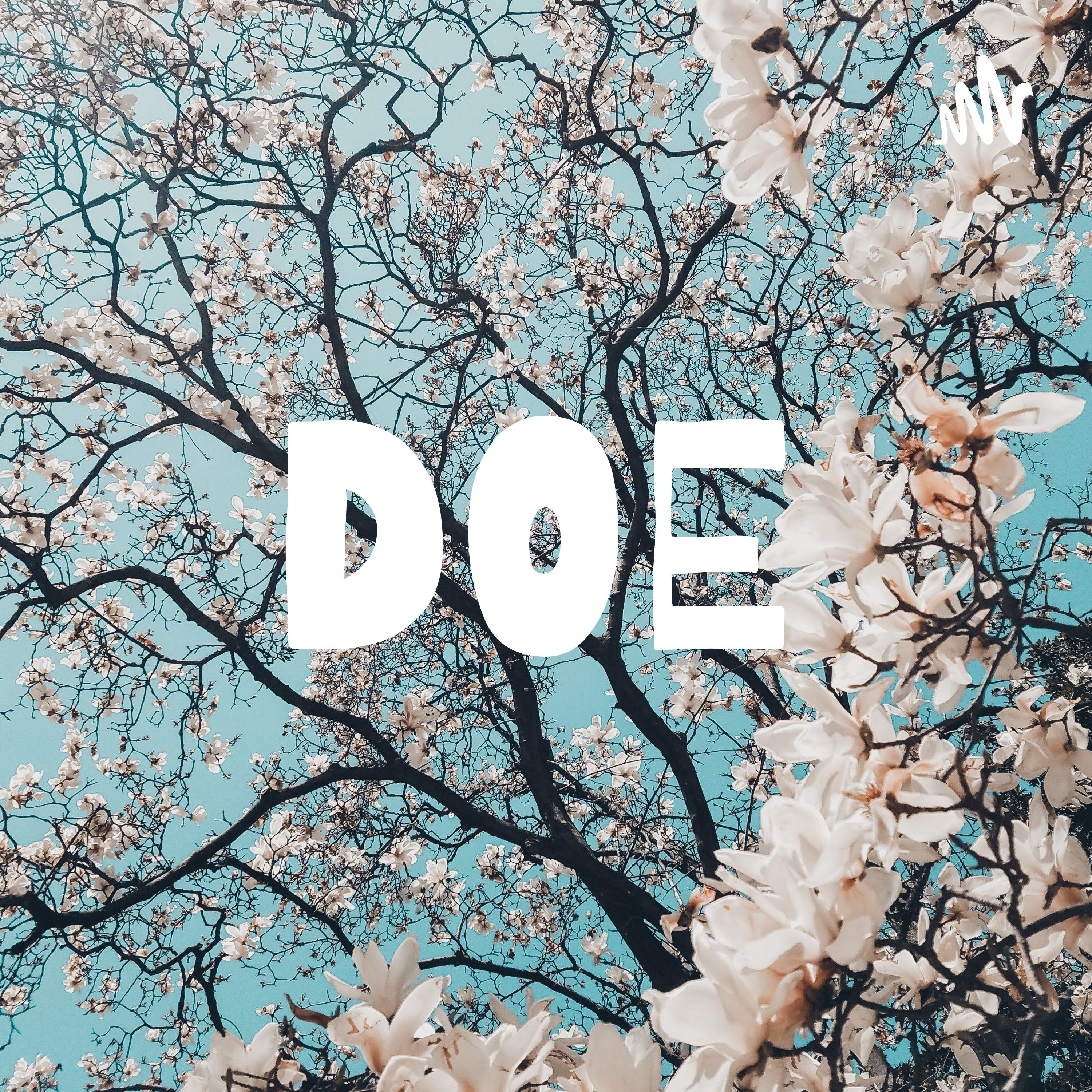 DOE podcast artwork