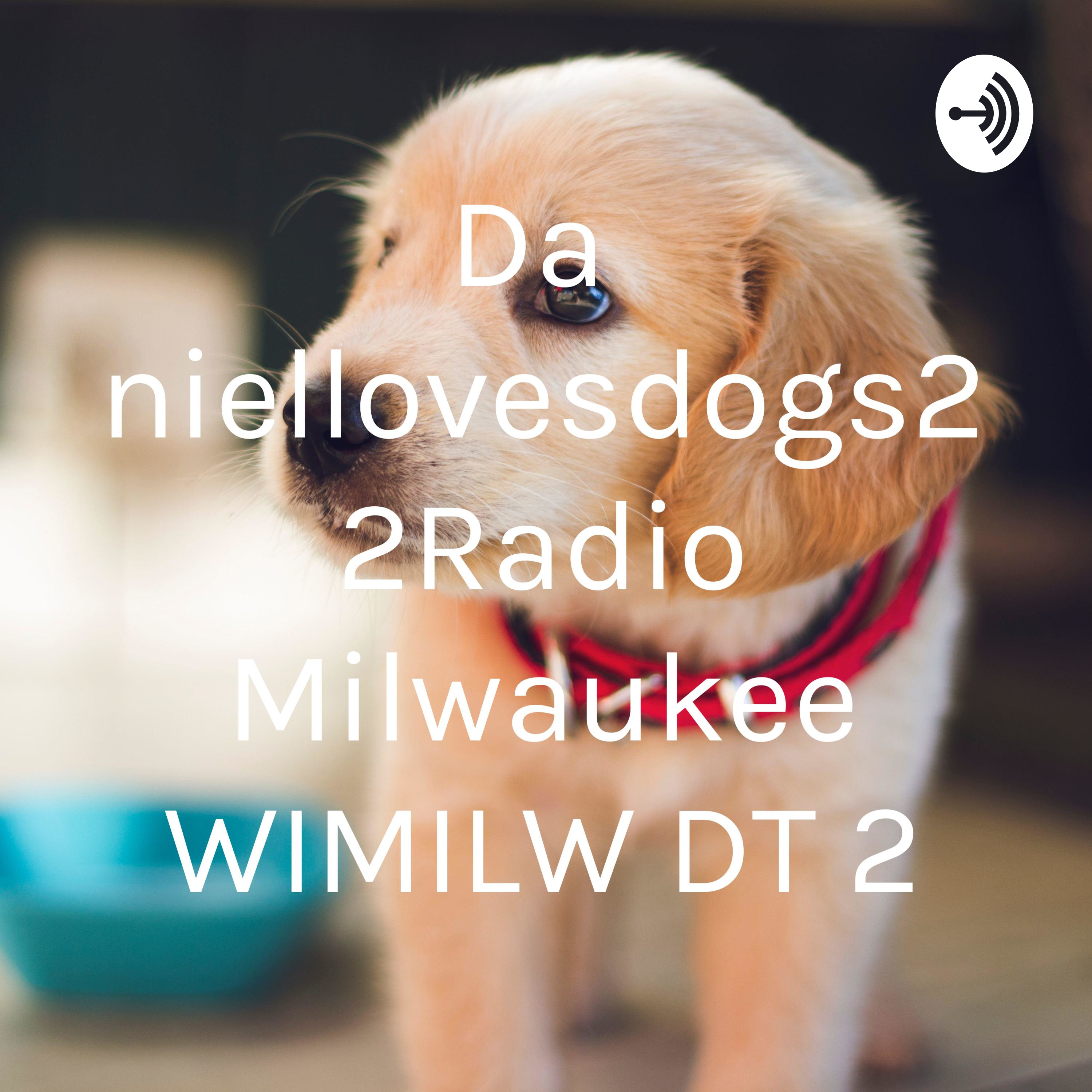 Daniellovesdogs22Radio Milwaukee WIMILW DT 2