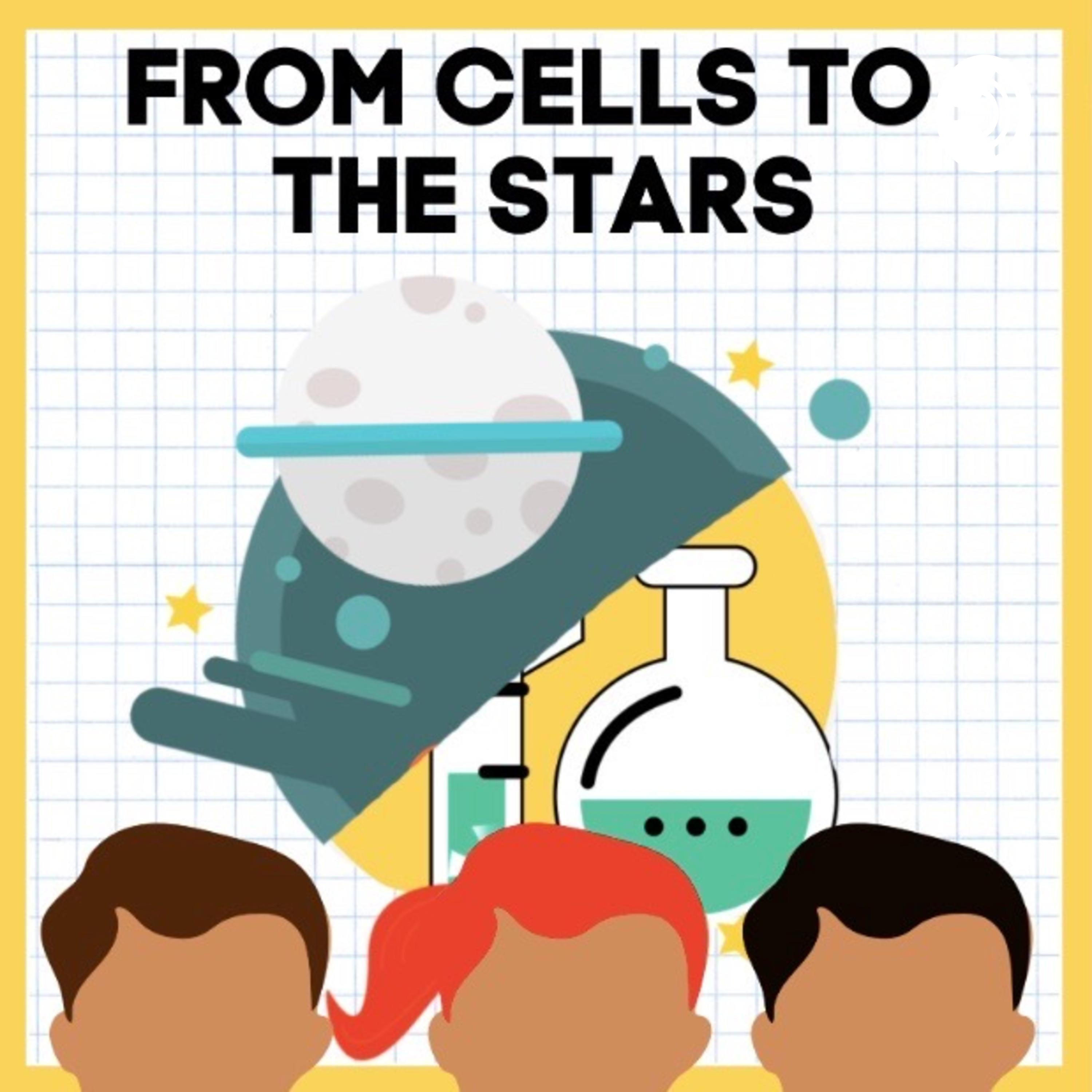 From Cells to the Stars