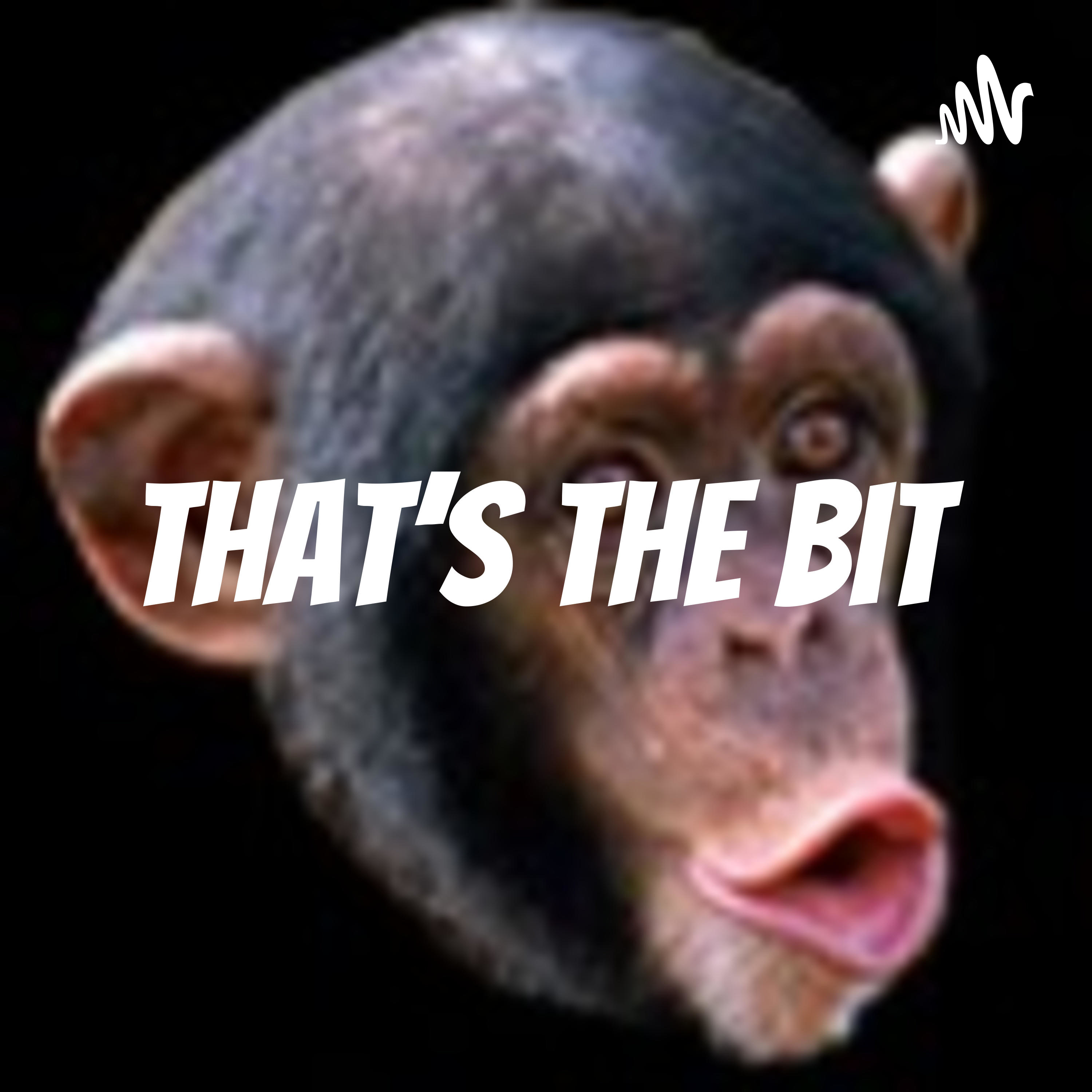 That's the Bit podcast artwork