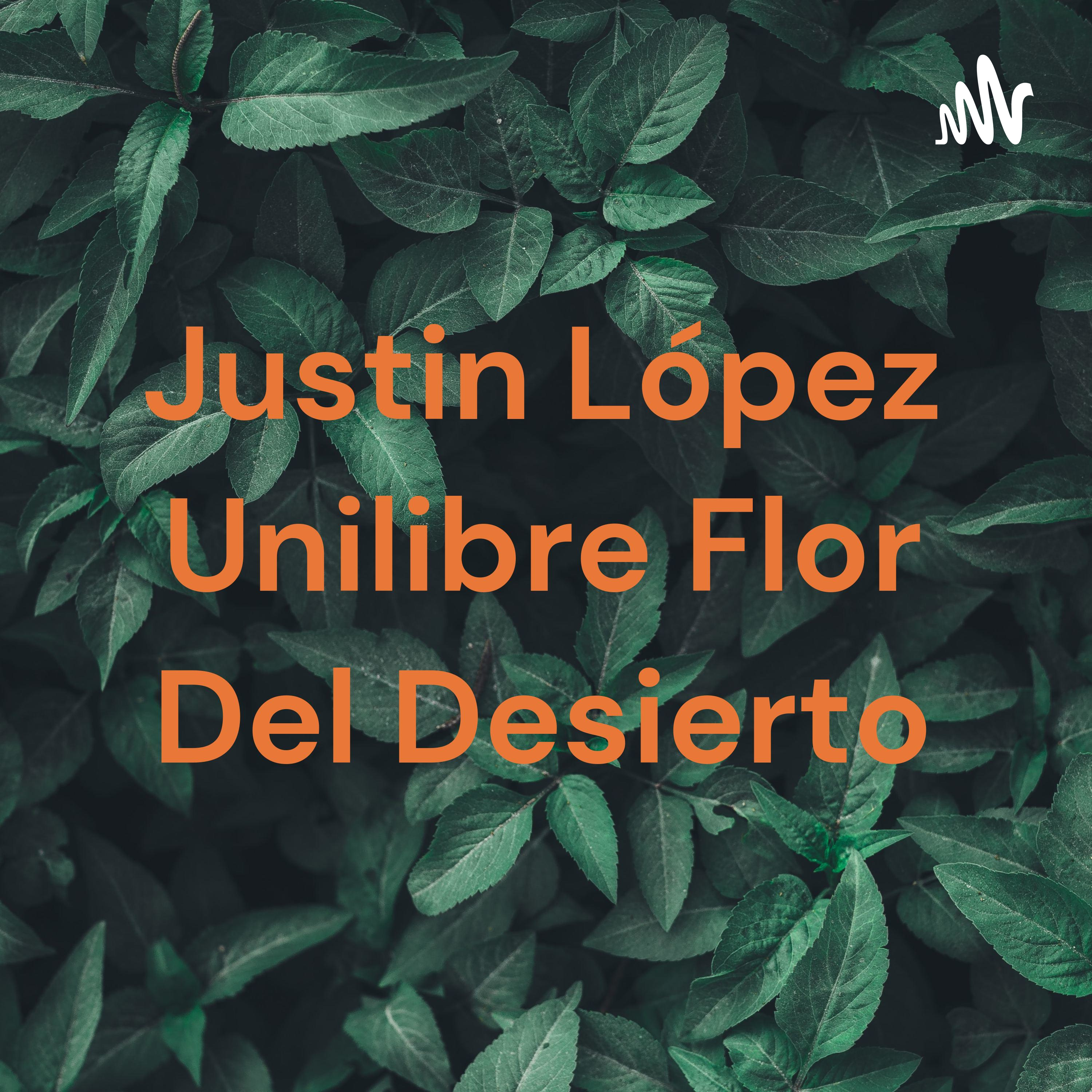 Justin López Unilibre Flor Del Desierto