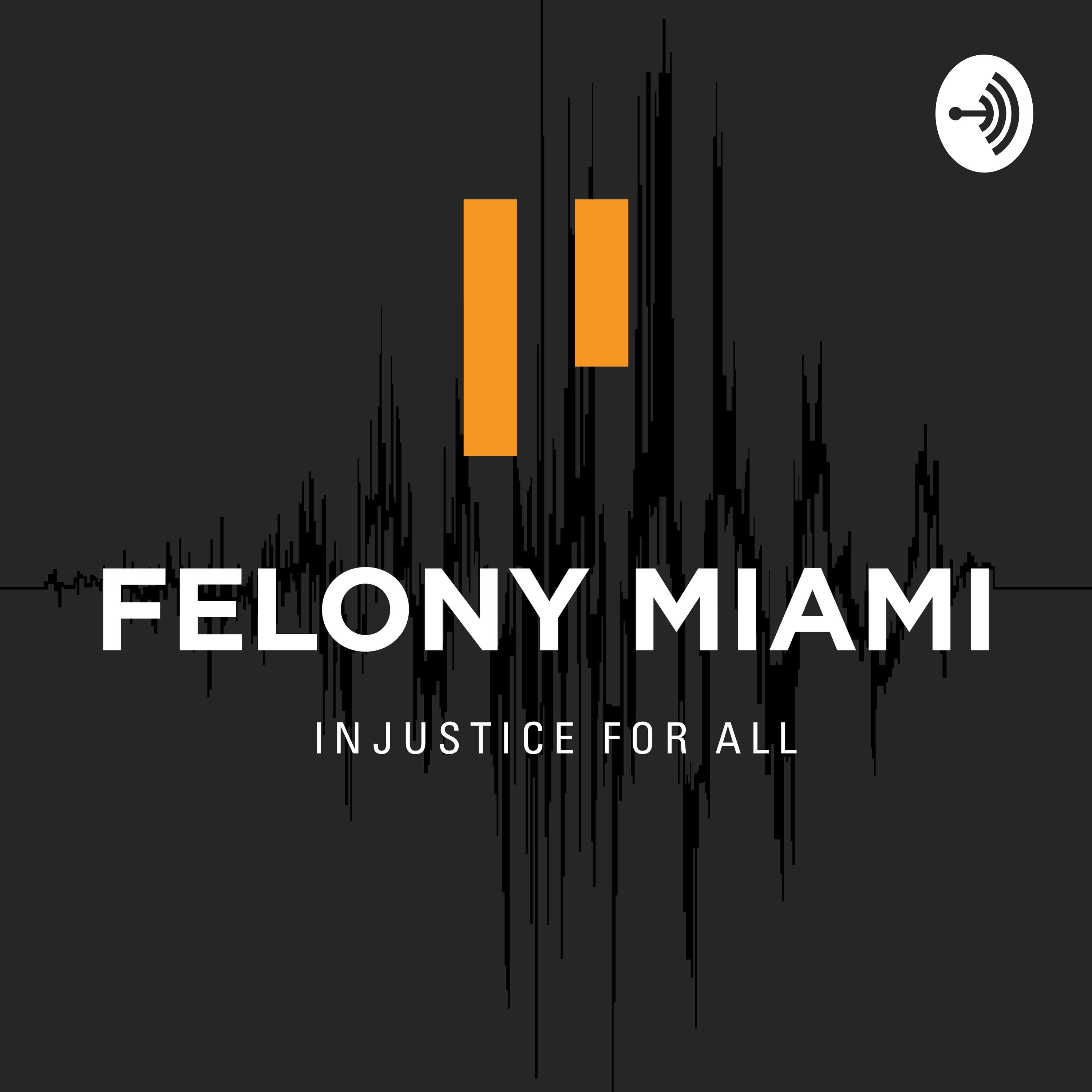 Felony Miami
