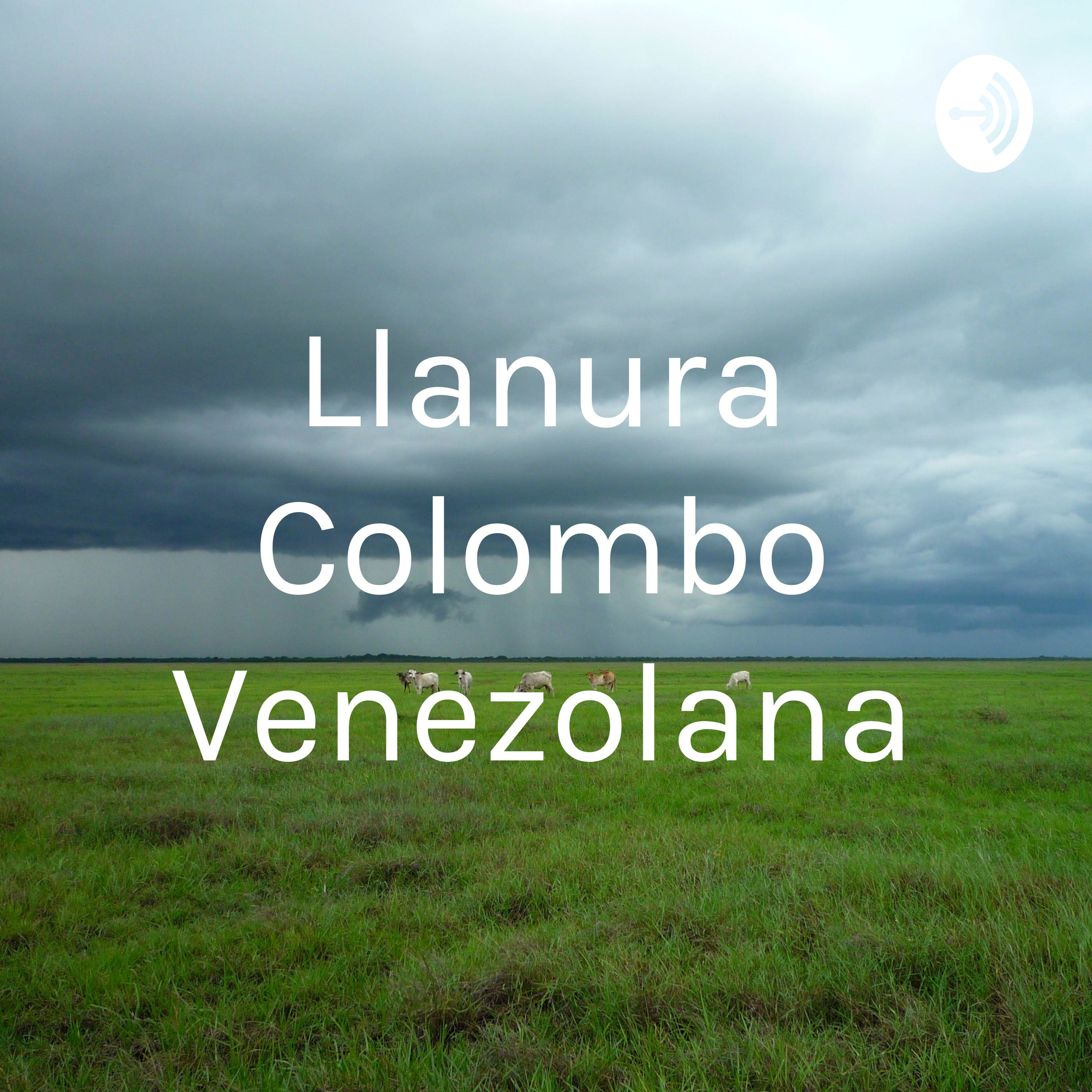 Llanura Colombo Venezolana