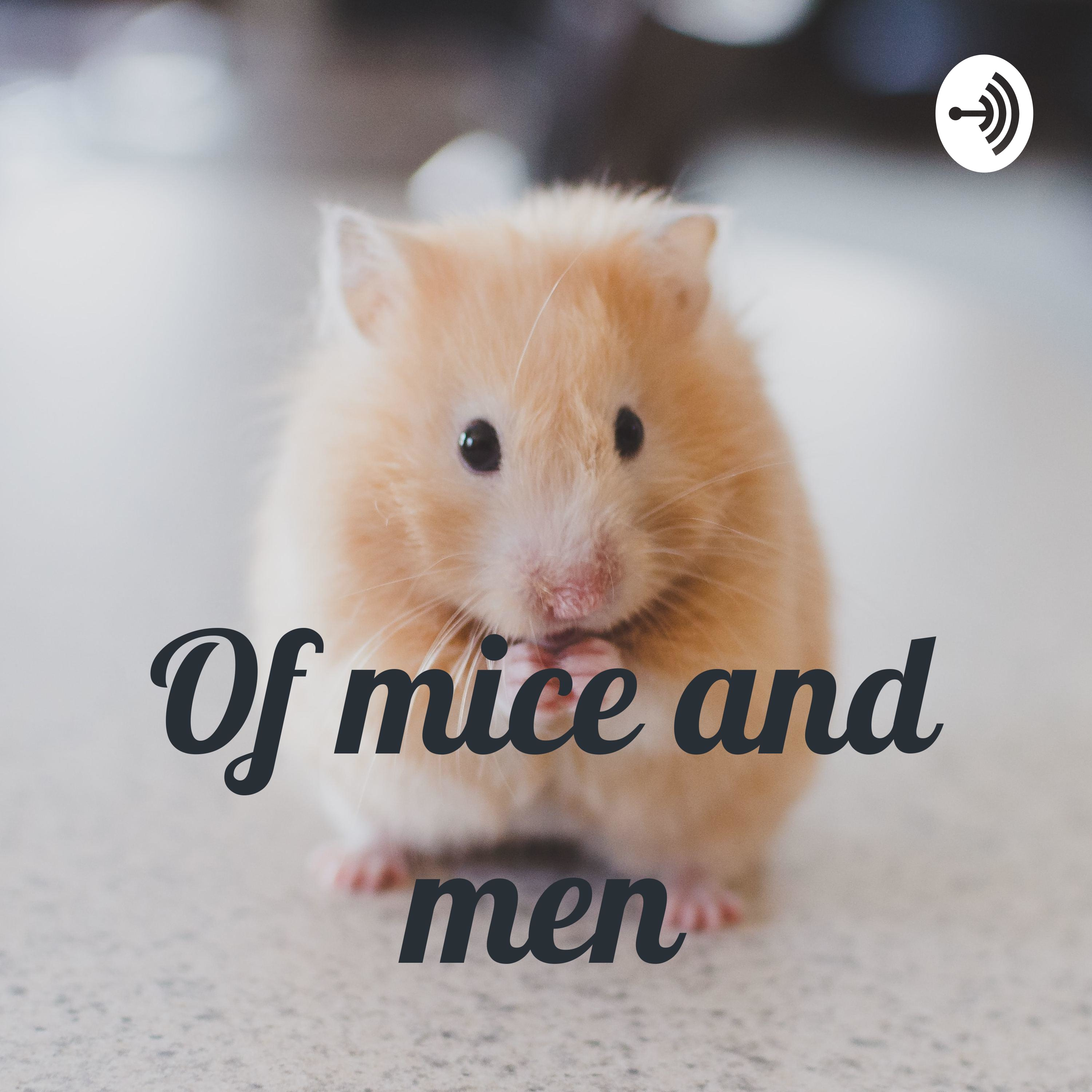 Of mice and men