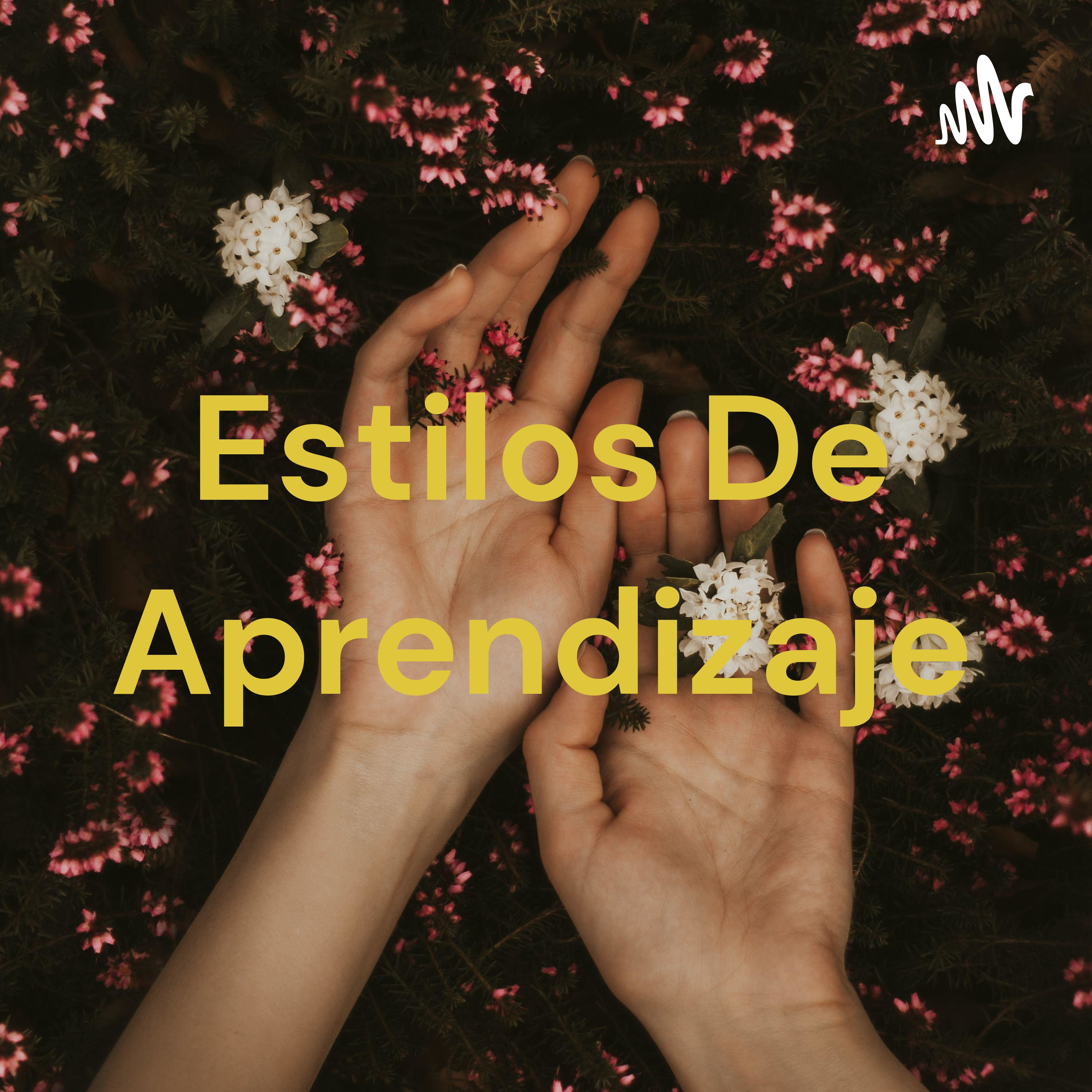Estilos De Aprendizaje podcast artwork