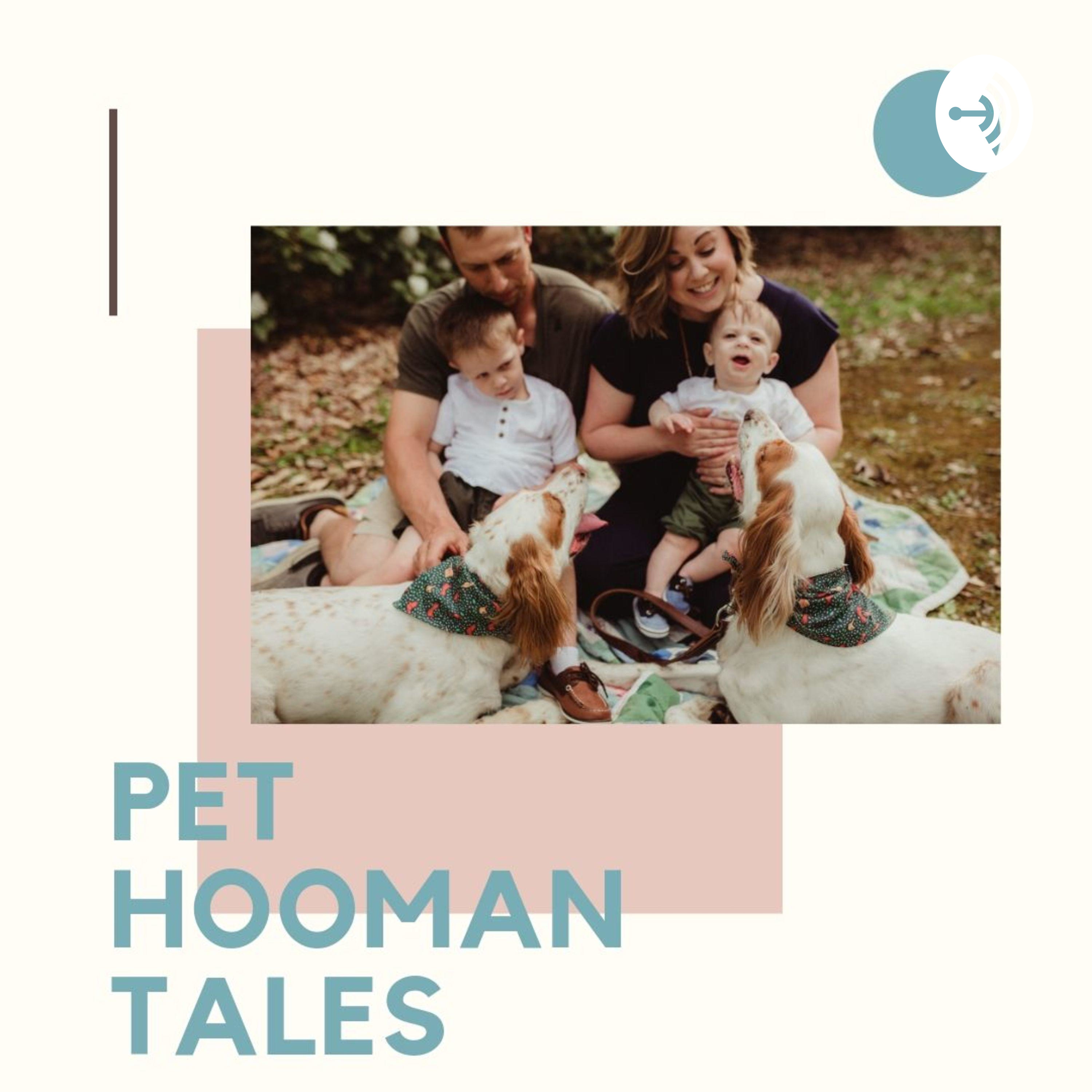 About the host: Tess (Setter Marie)