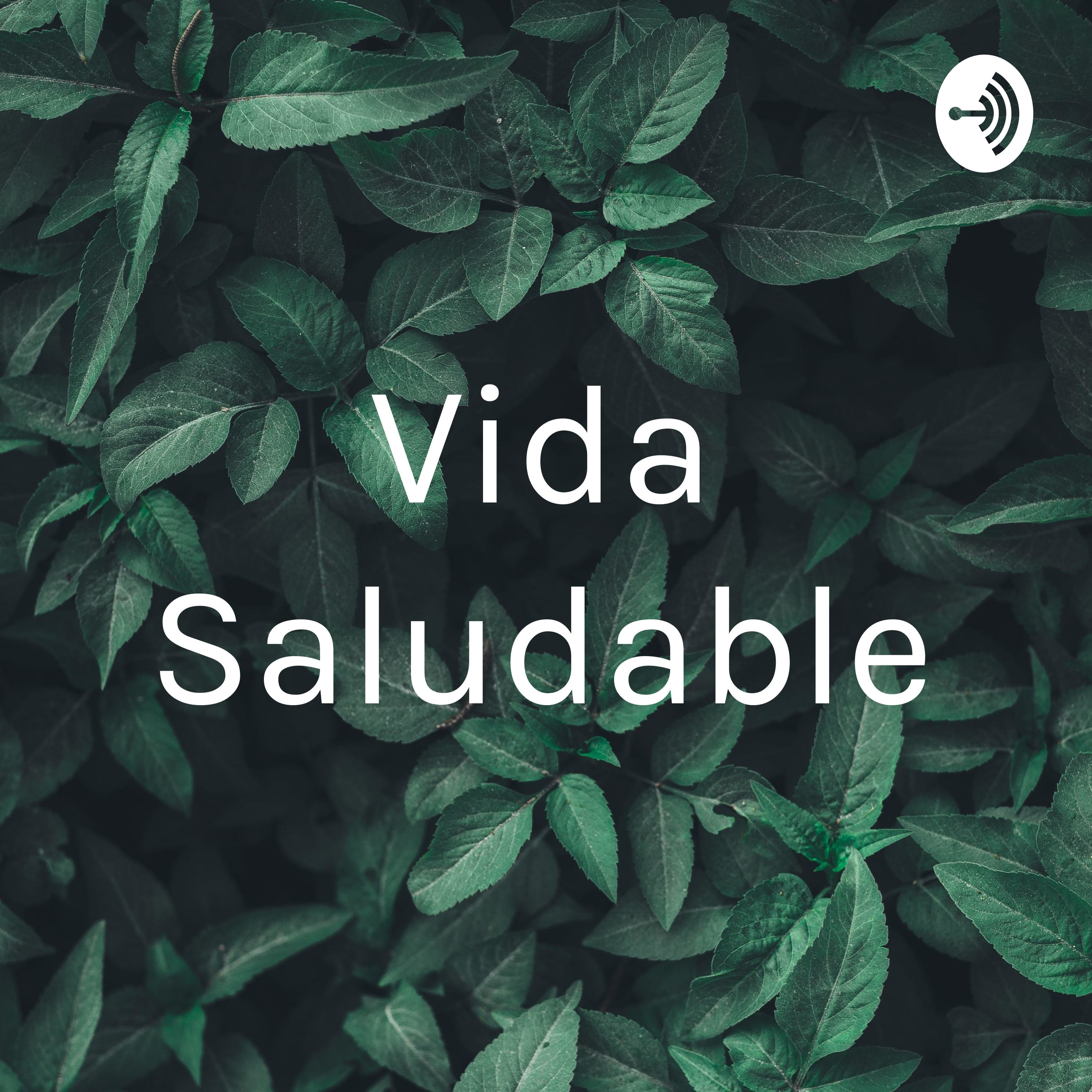Vida Saludable