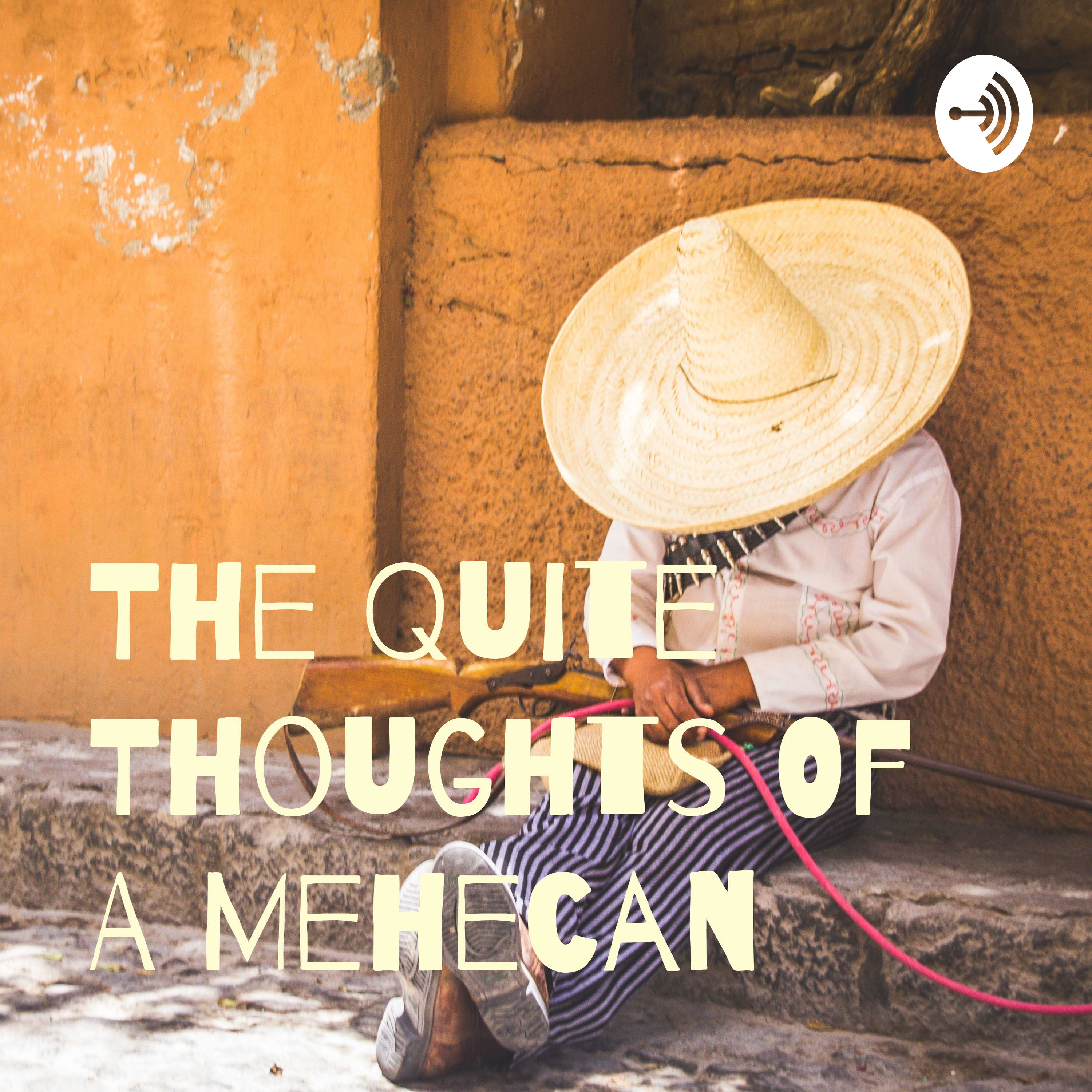 The Quite Thoughts Of A Mehecan