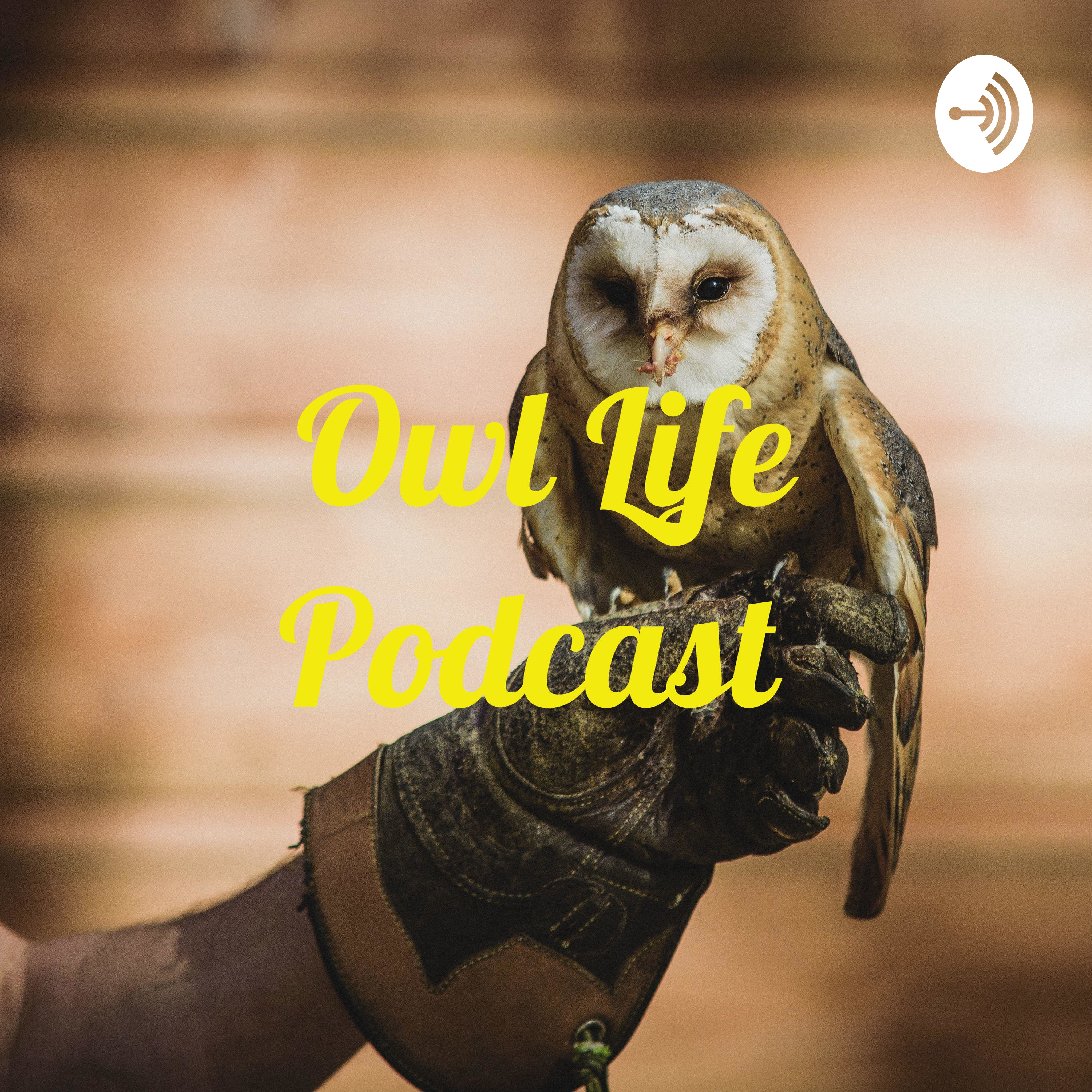 Owl Life Podcast 