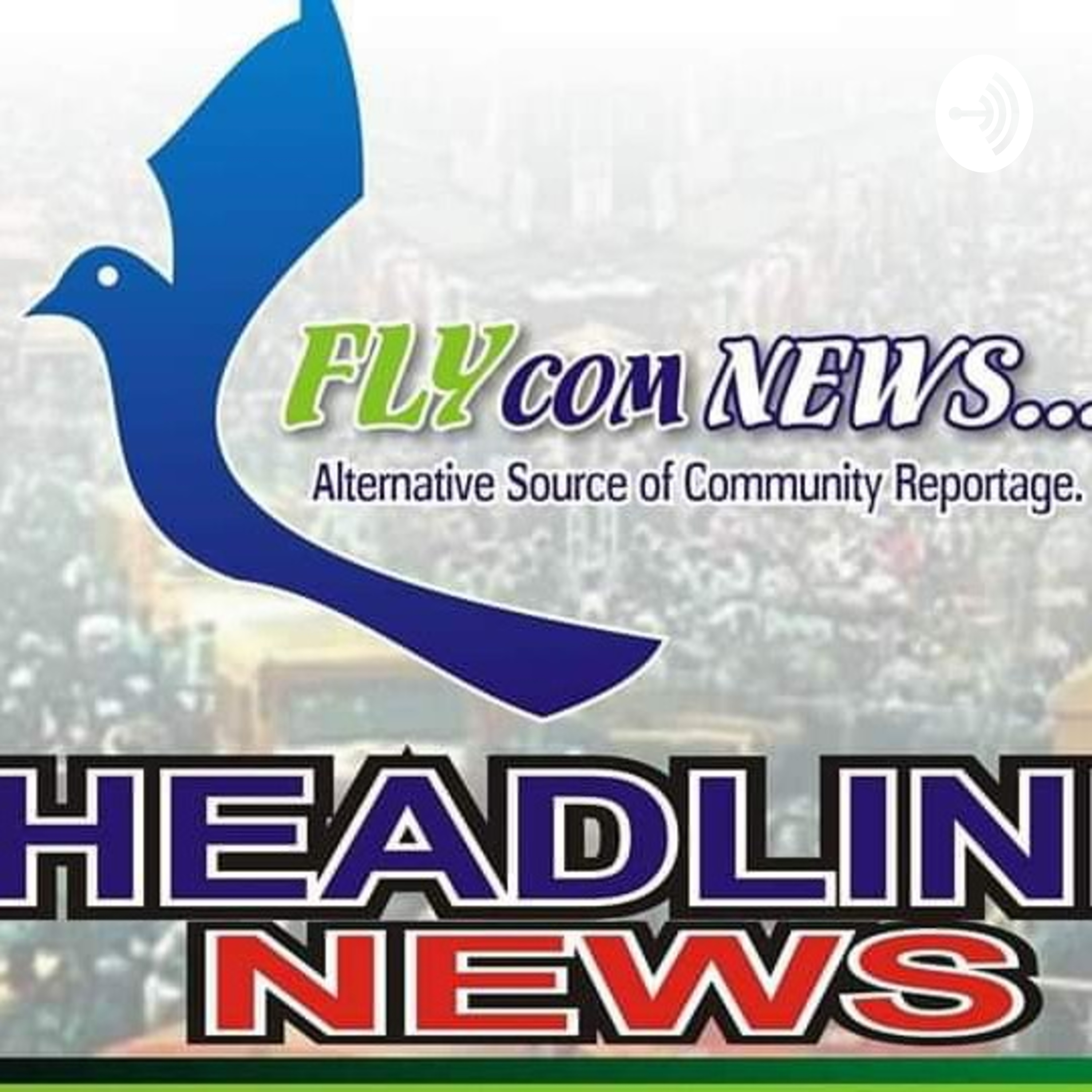 Fashina Mobolaji Shakiru (Fly Cable News Reporter)