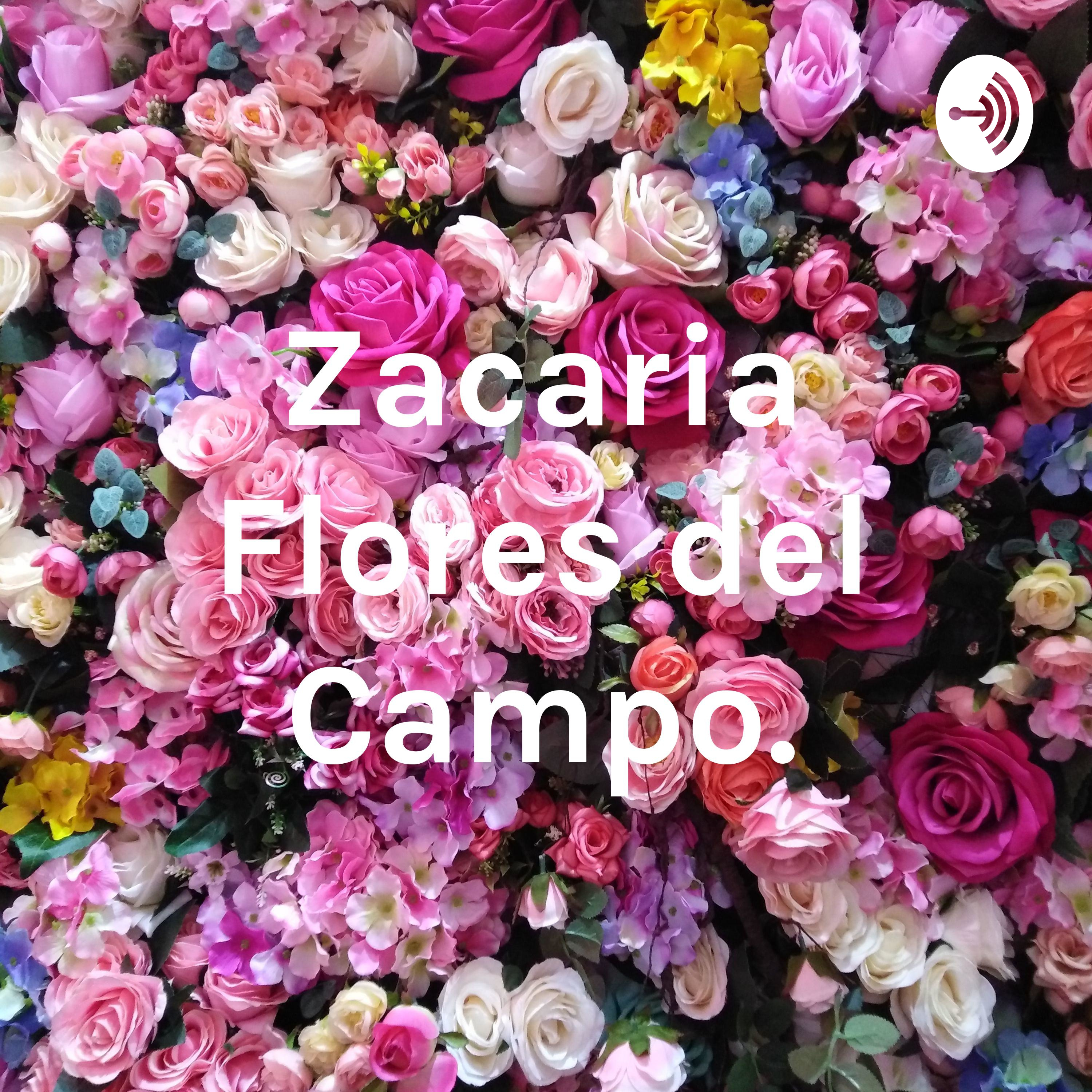 Zacaria Flores del Campo.