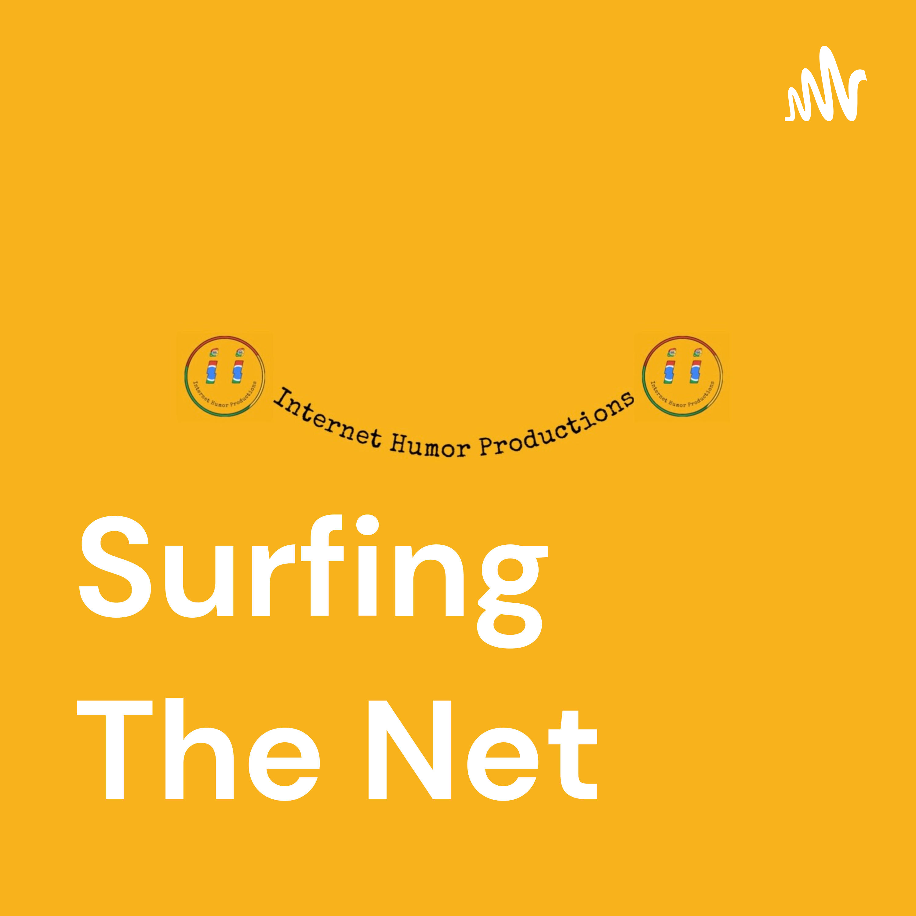 Surfing The Net