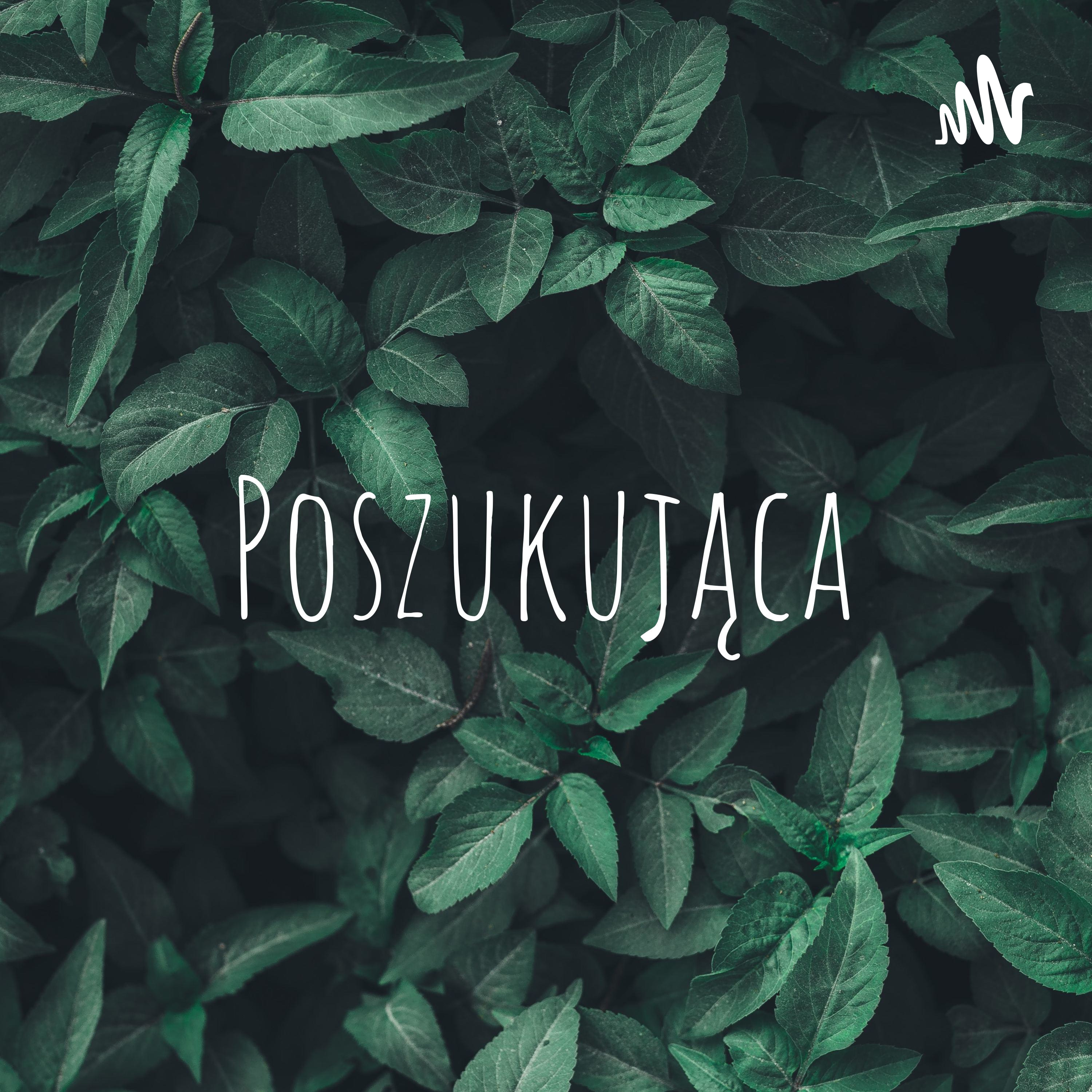Pożegnania episode artwork