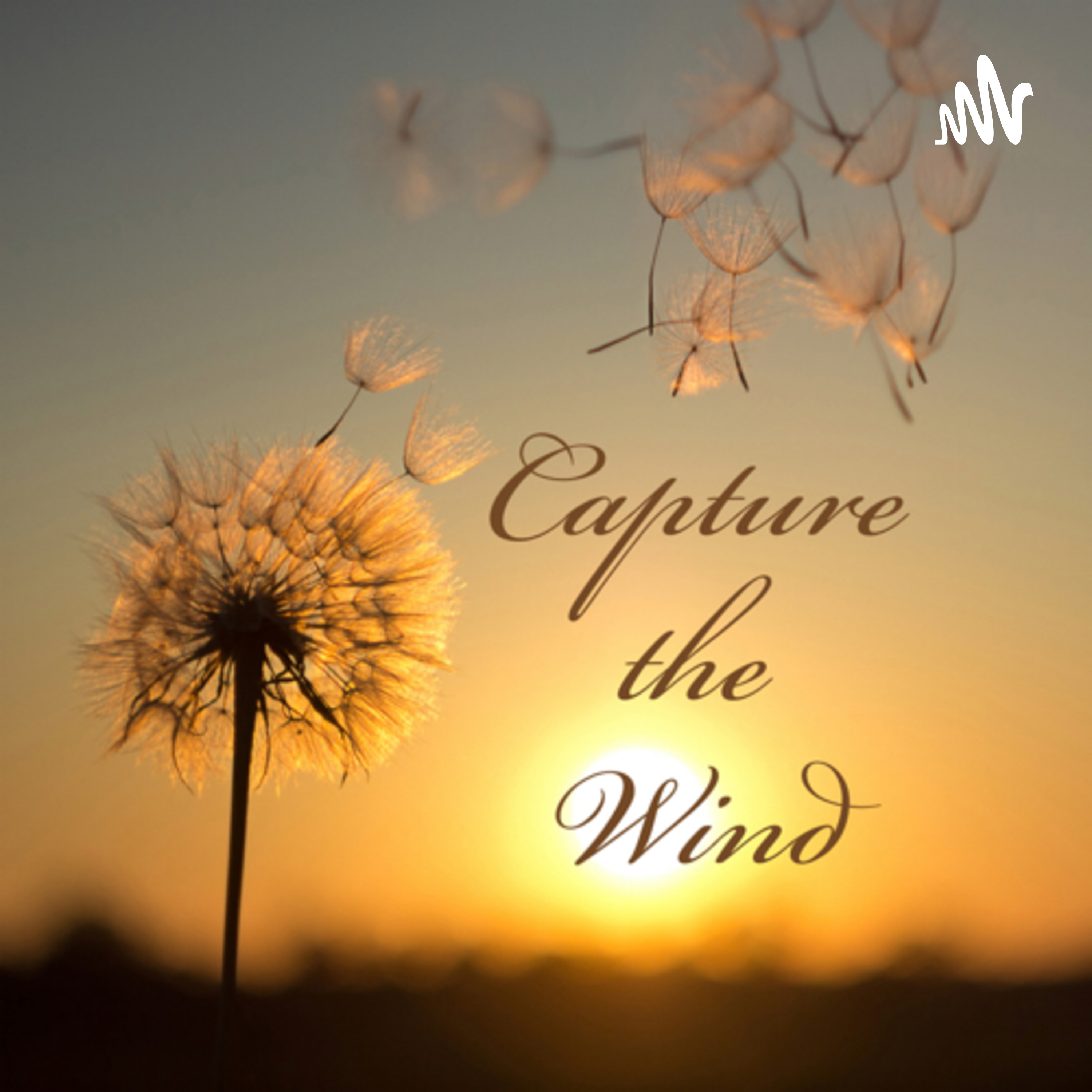 Capture the Wind