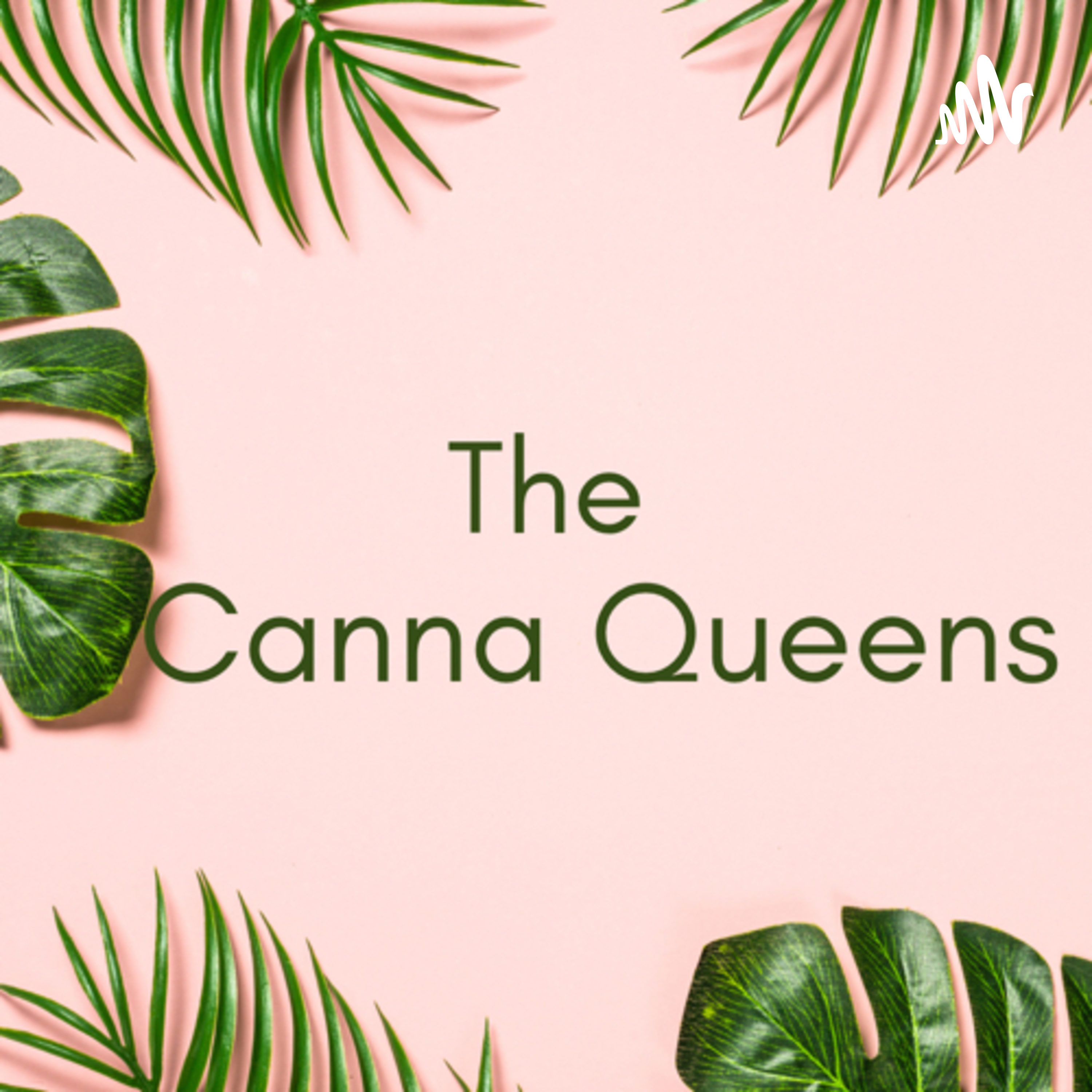 Episode 30: Weed made me buy it! Black Friday Edition!