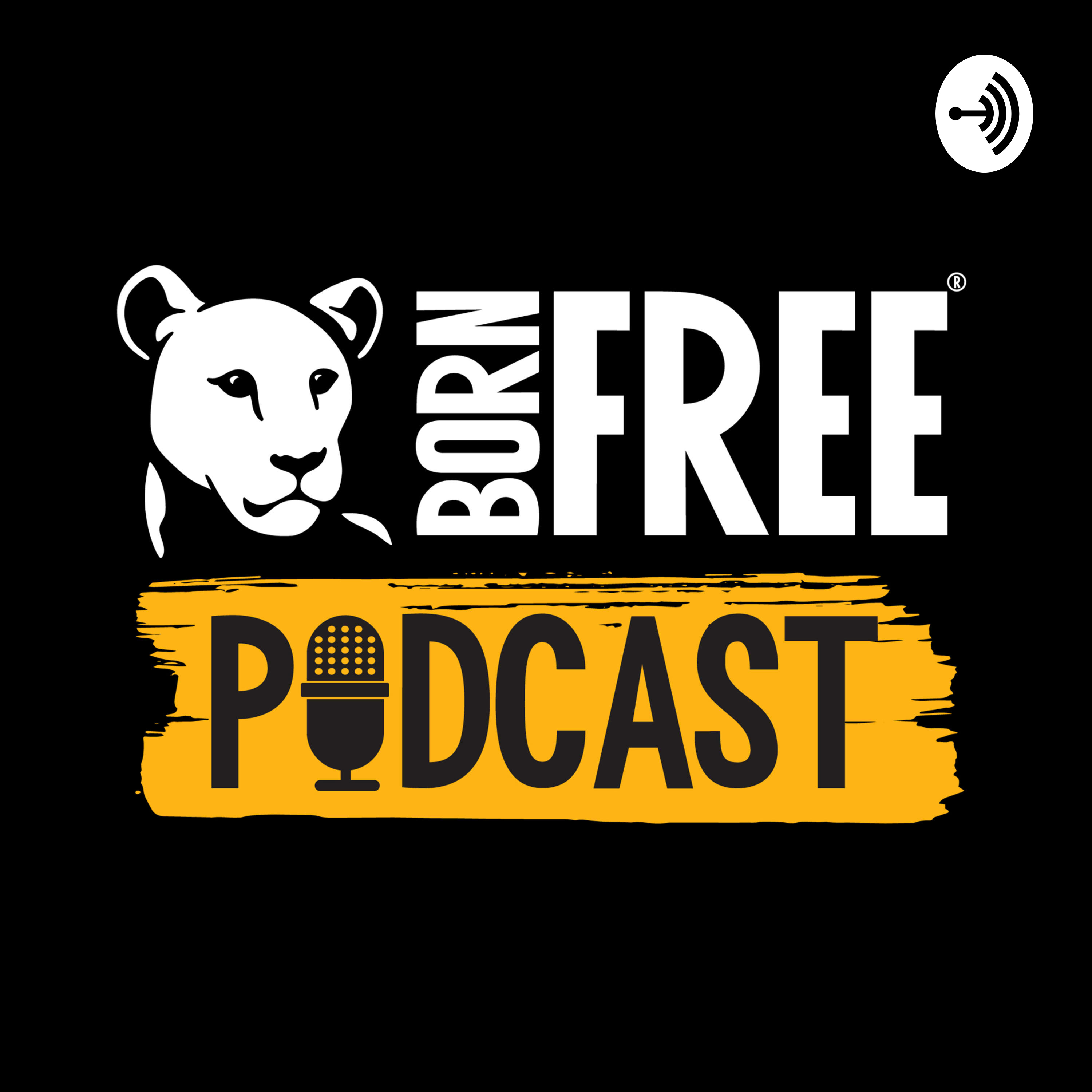 Born Free Podcast podcast artwork