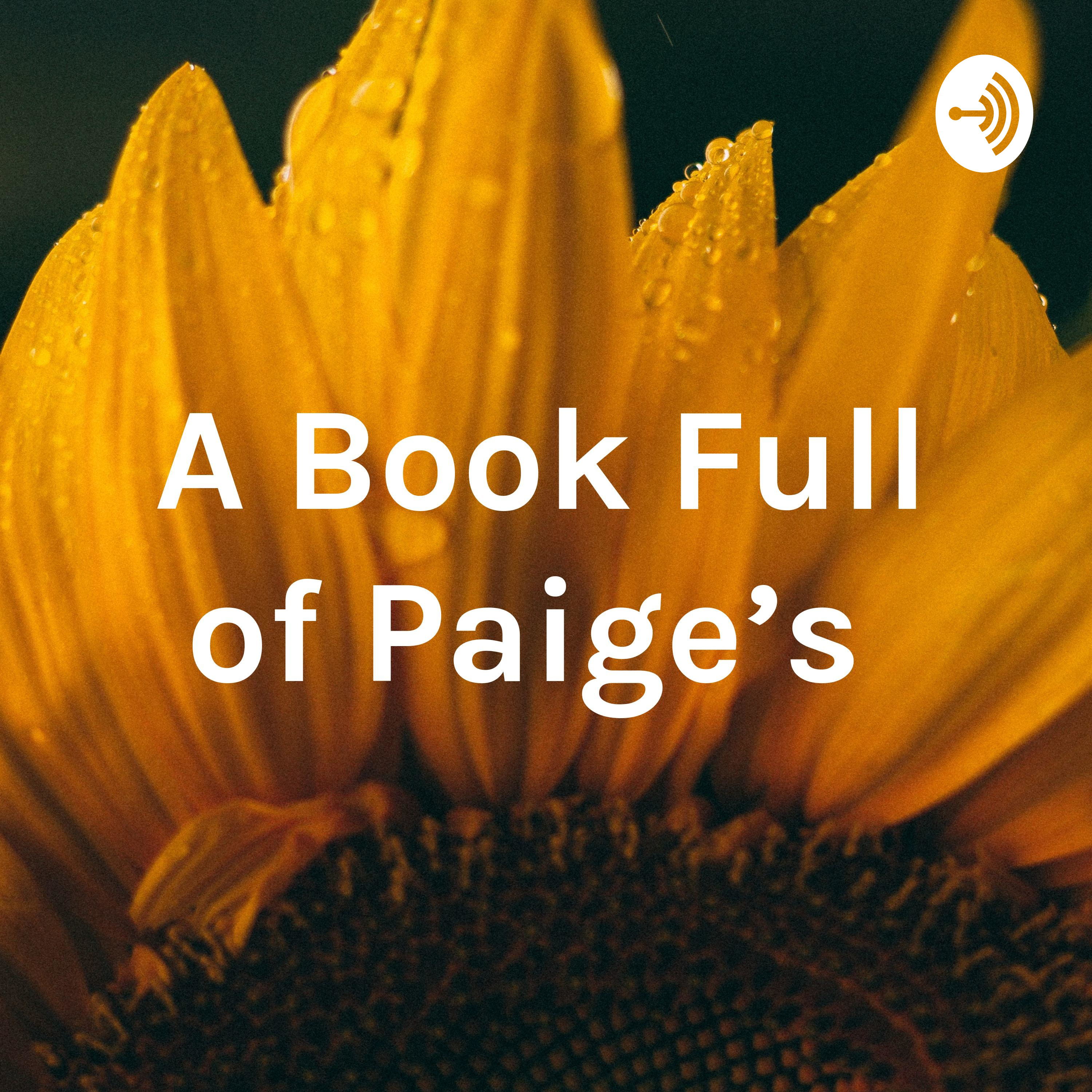 A Book Full of Paige’s 