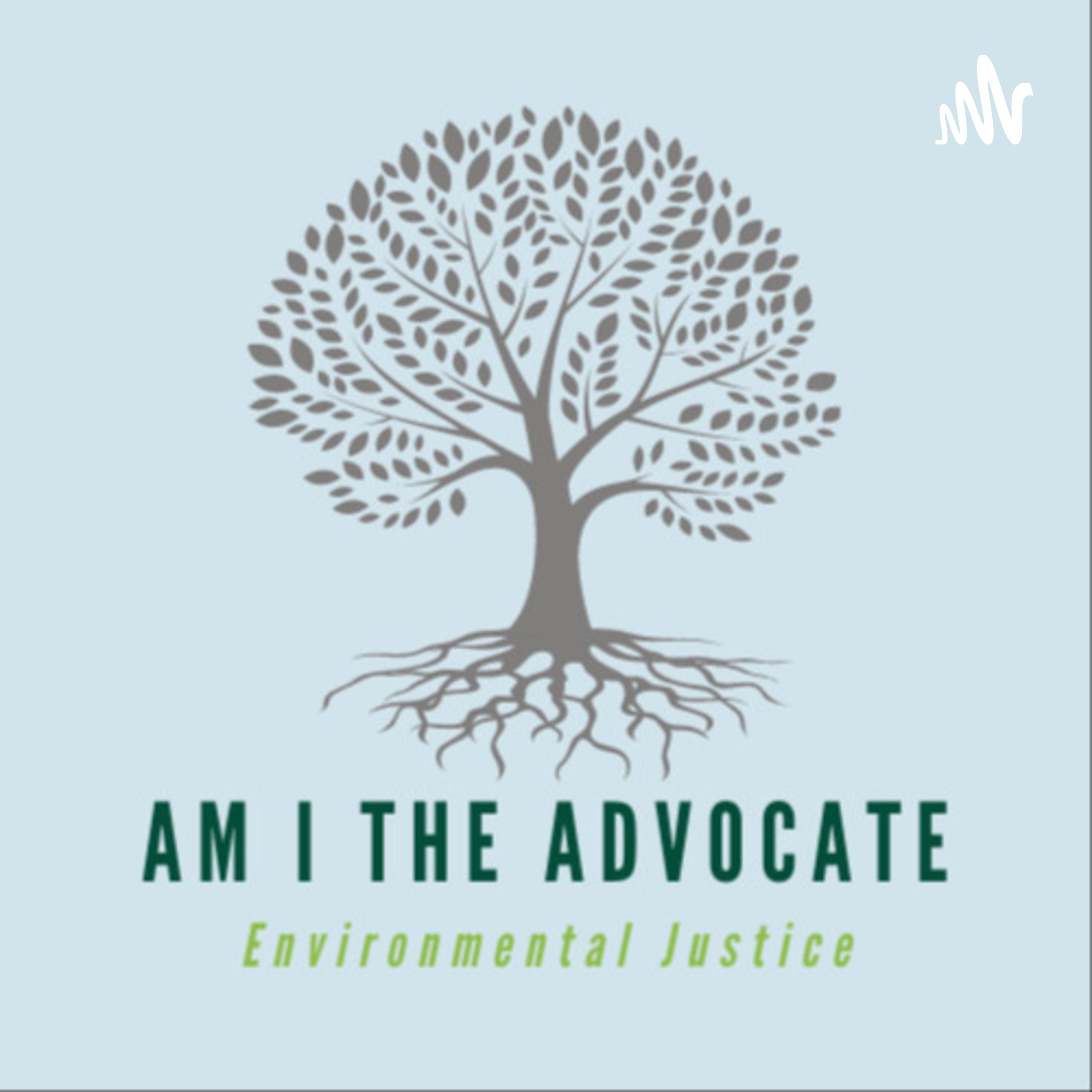 Am I The Advocate
