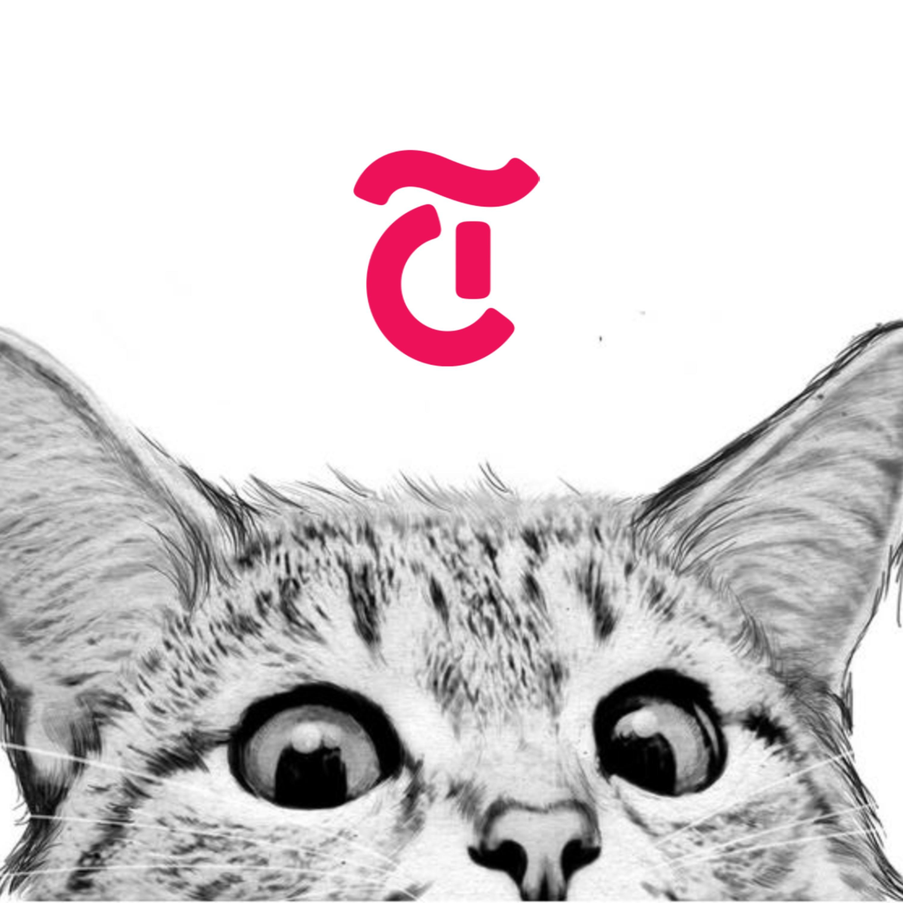 Product & User Experience (PUX) 