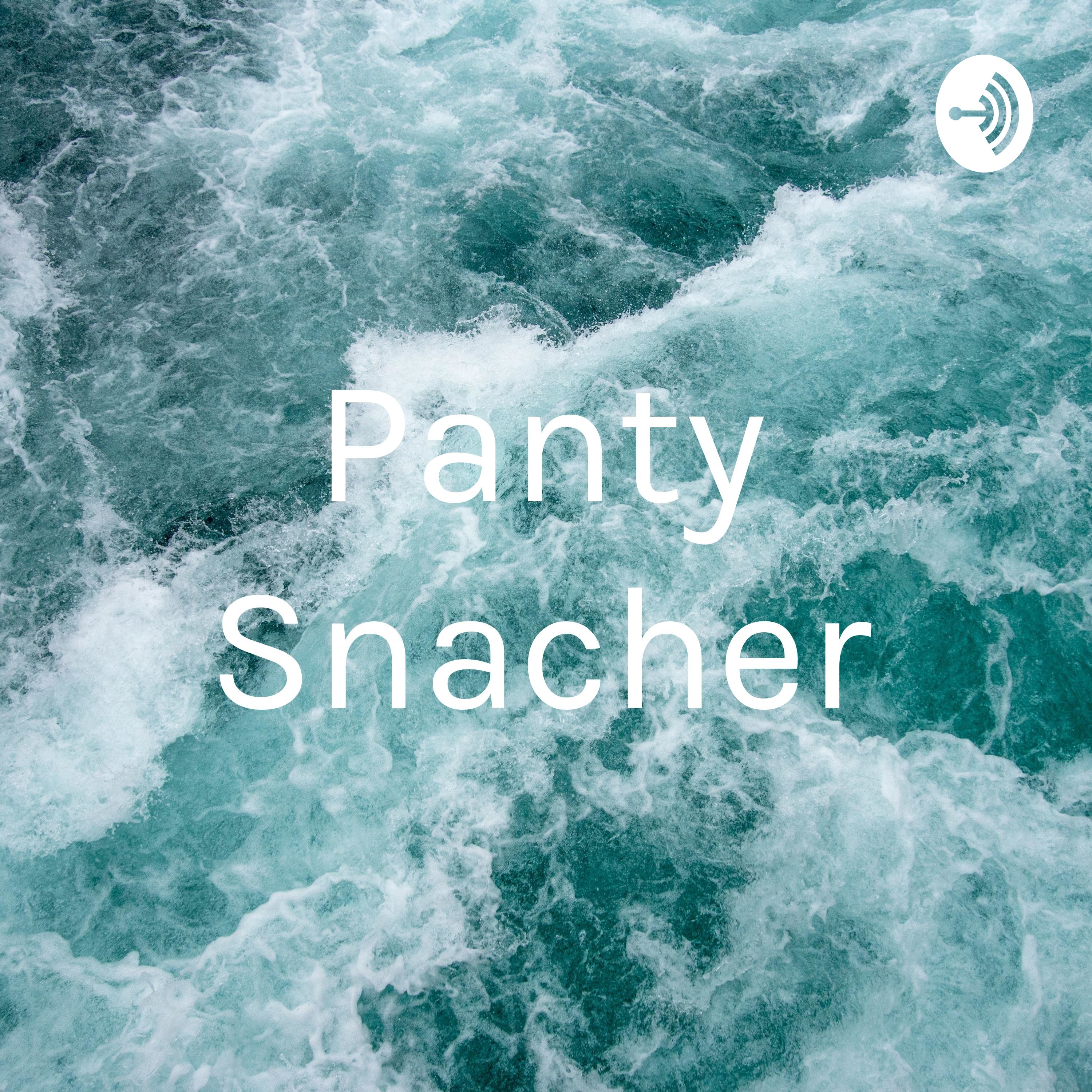 Panty Snacher
