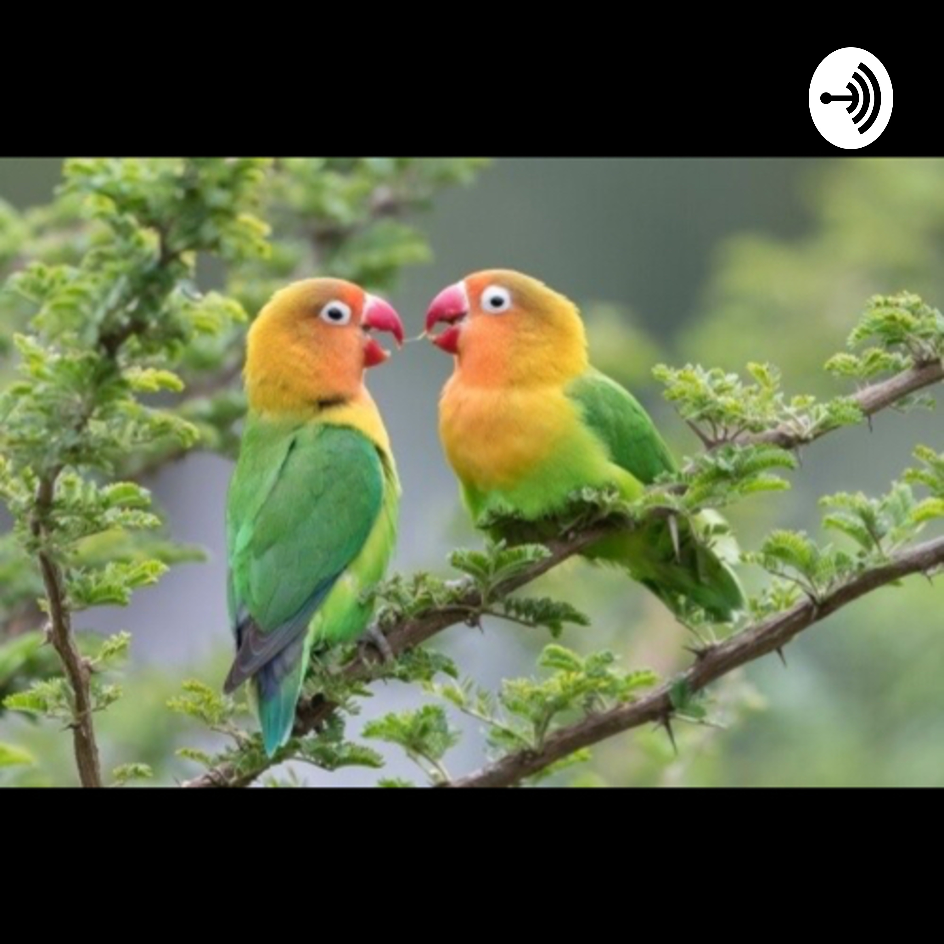 जिबन मन्थन podcast artwork