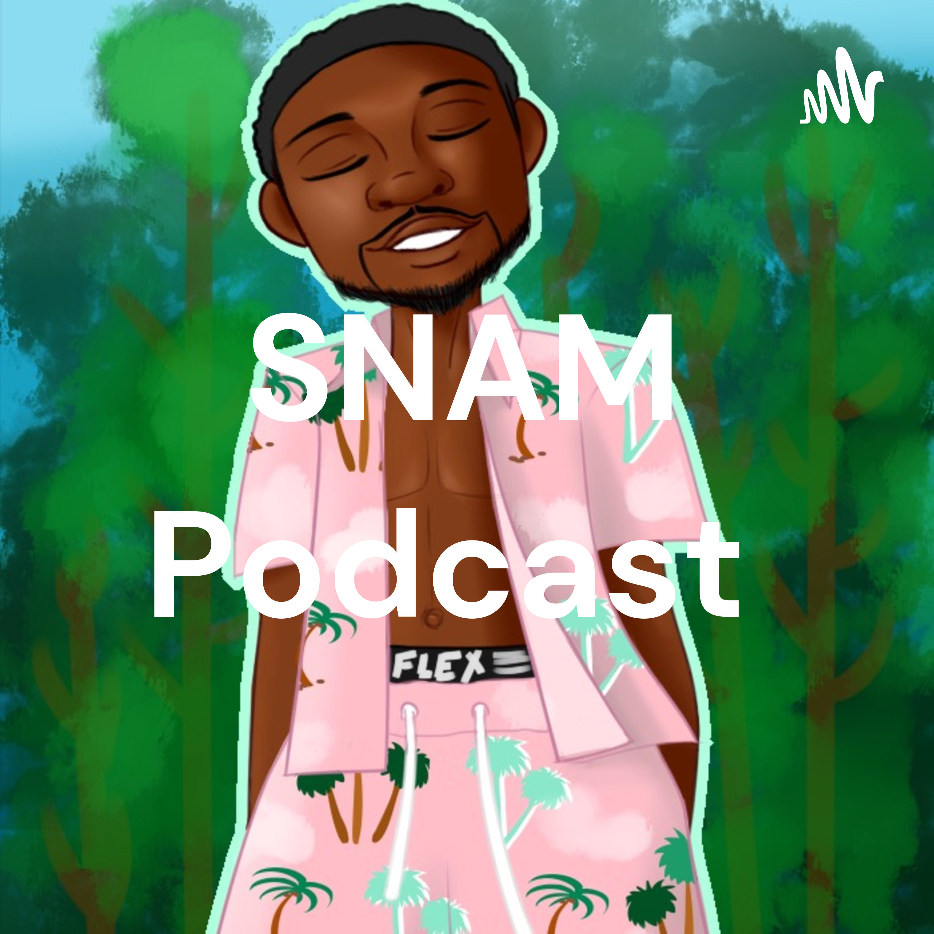 SNAM Podcast podcast artwork