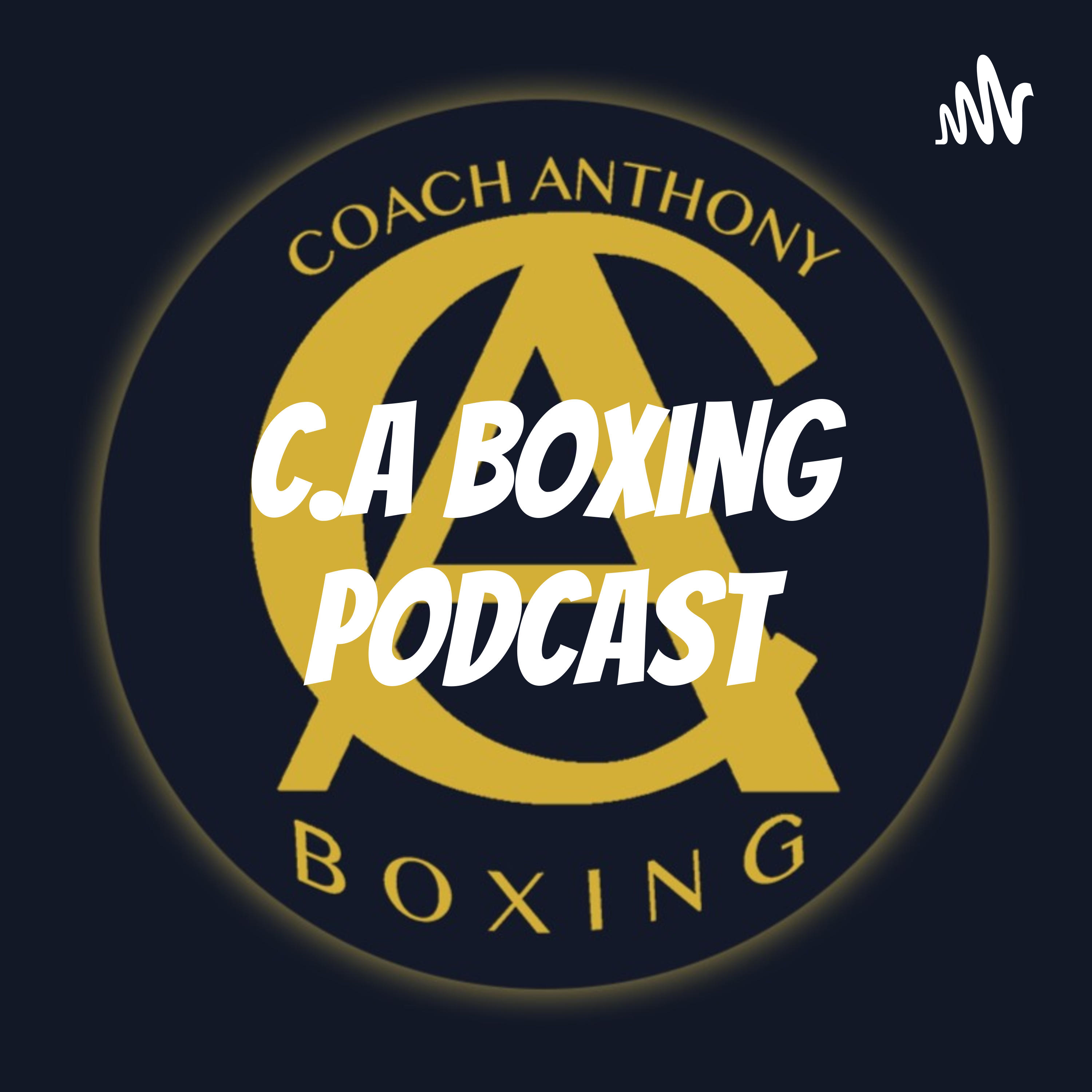 Wow Coner Mcgregor knocked out! Interview with Boxing coach of Dustin