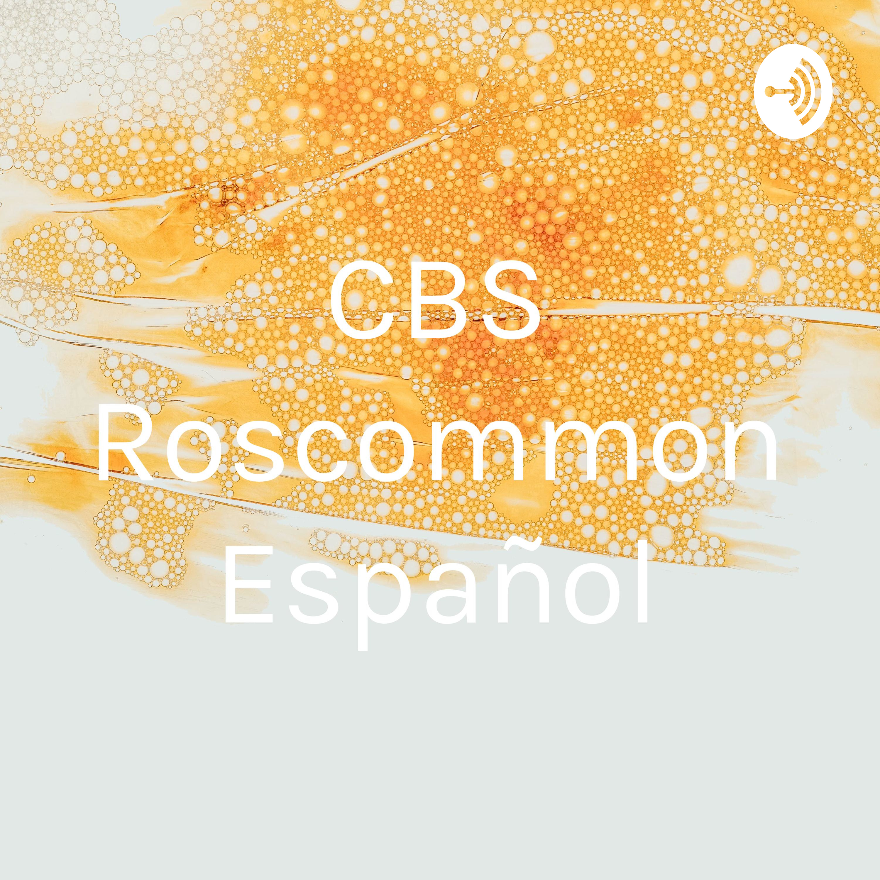 CBS Roscommon Español
