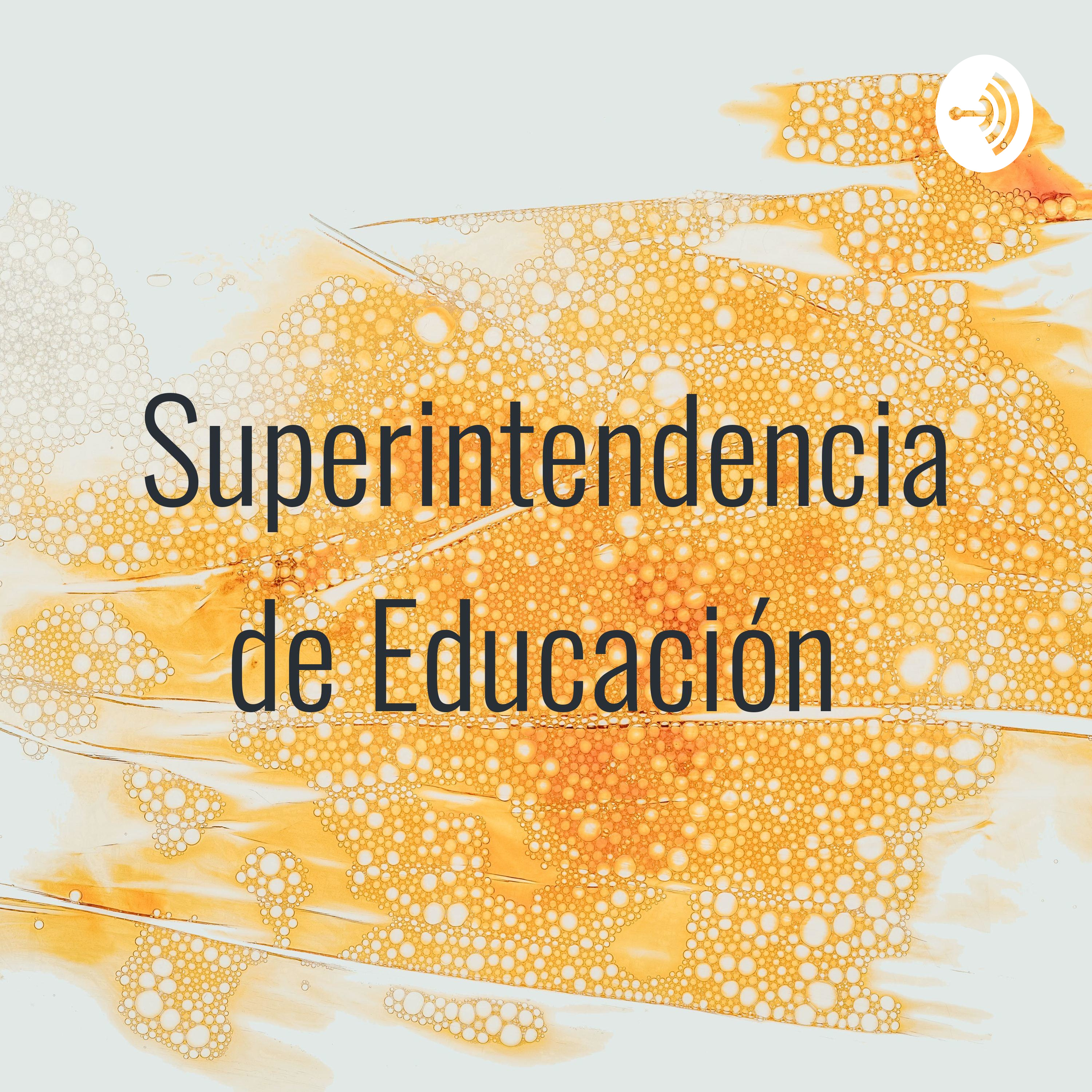 Superintendencia de Educación