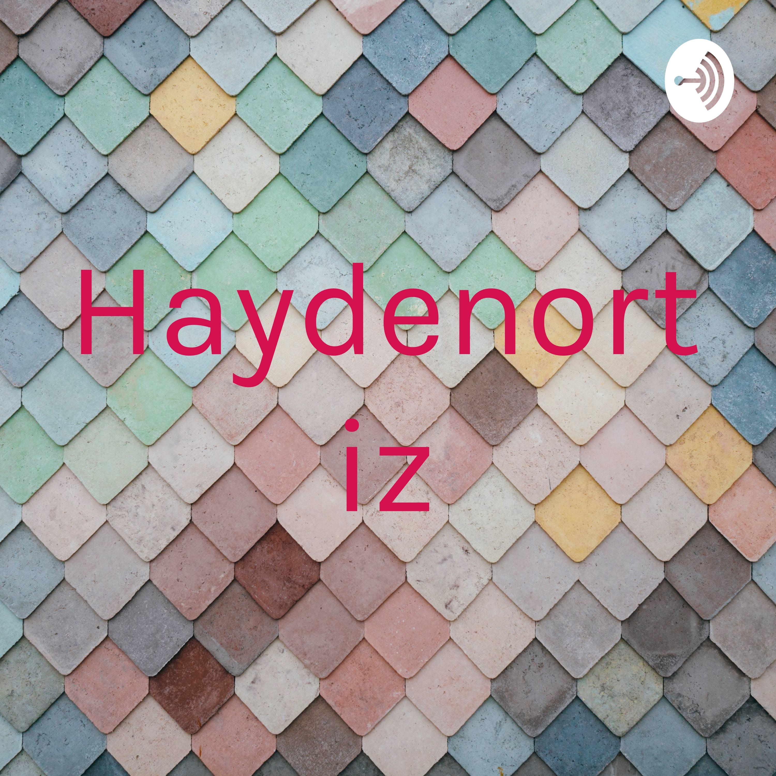 Haydenortiz