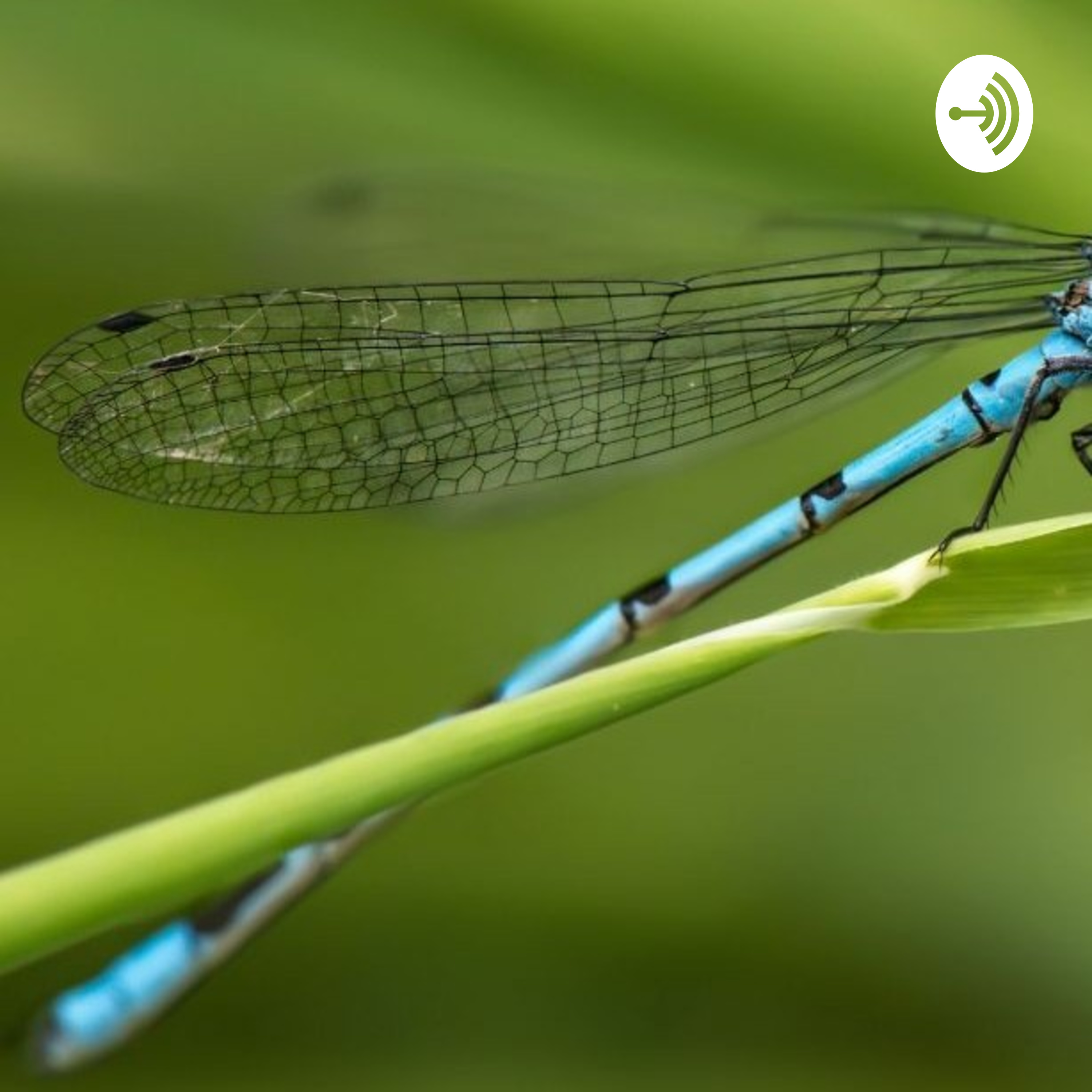 Just Some Kid Feeling Green