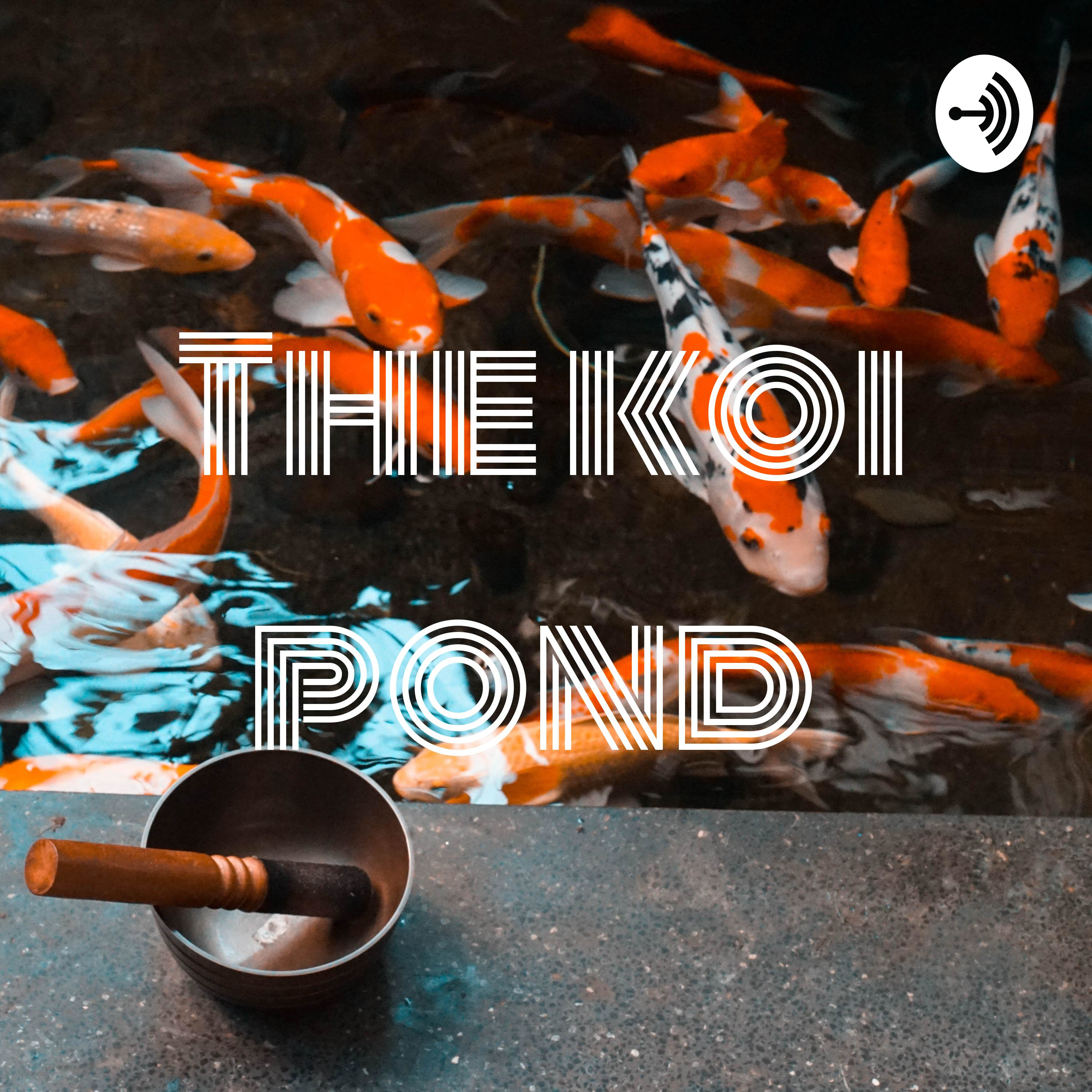 Logo of the podcast The Koi Pond Podcast The Koi Pond