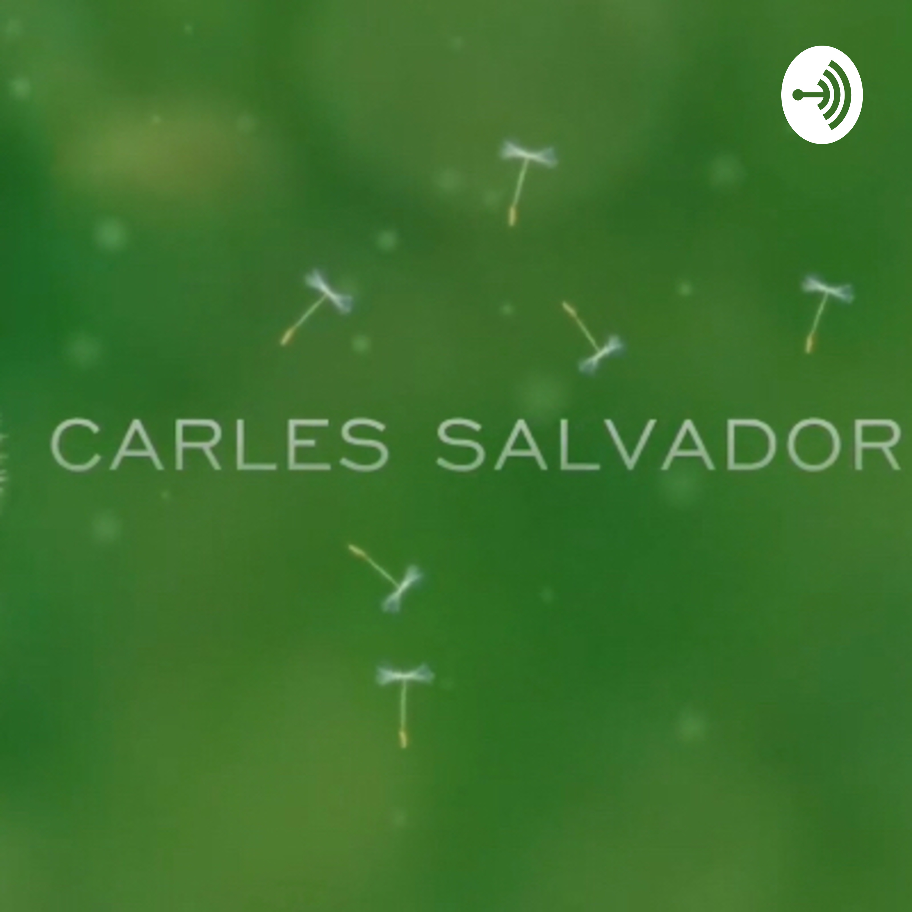 Adivinanzas 1 CEIP Carles salvador 