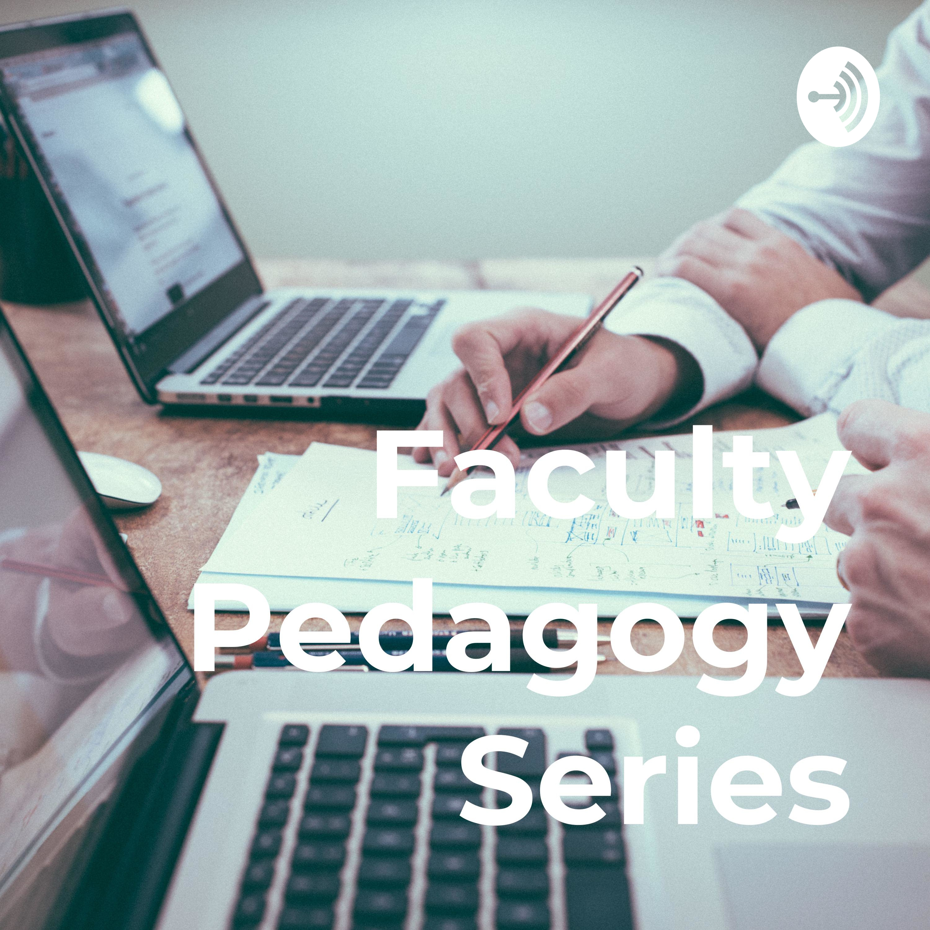 Faculty Pedagogy Series
