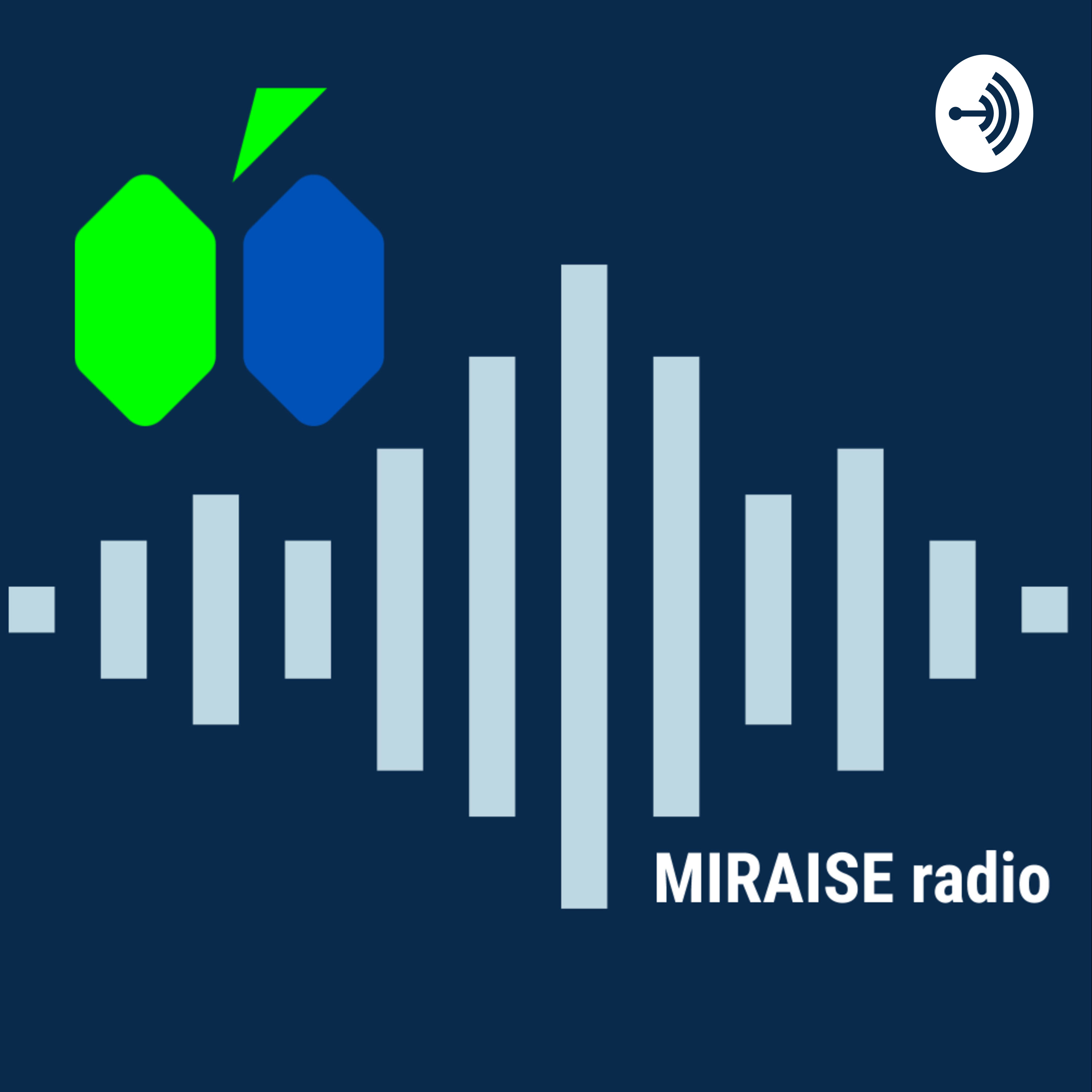 MIRAISE RADIO