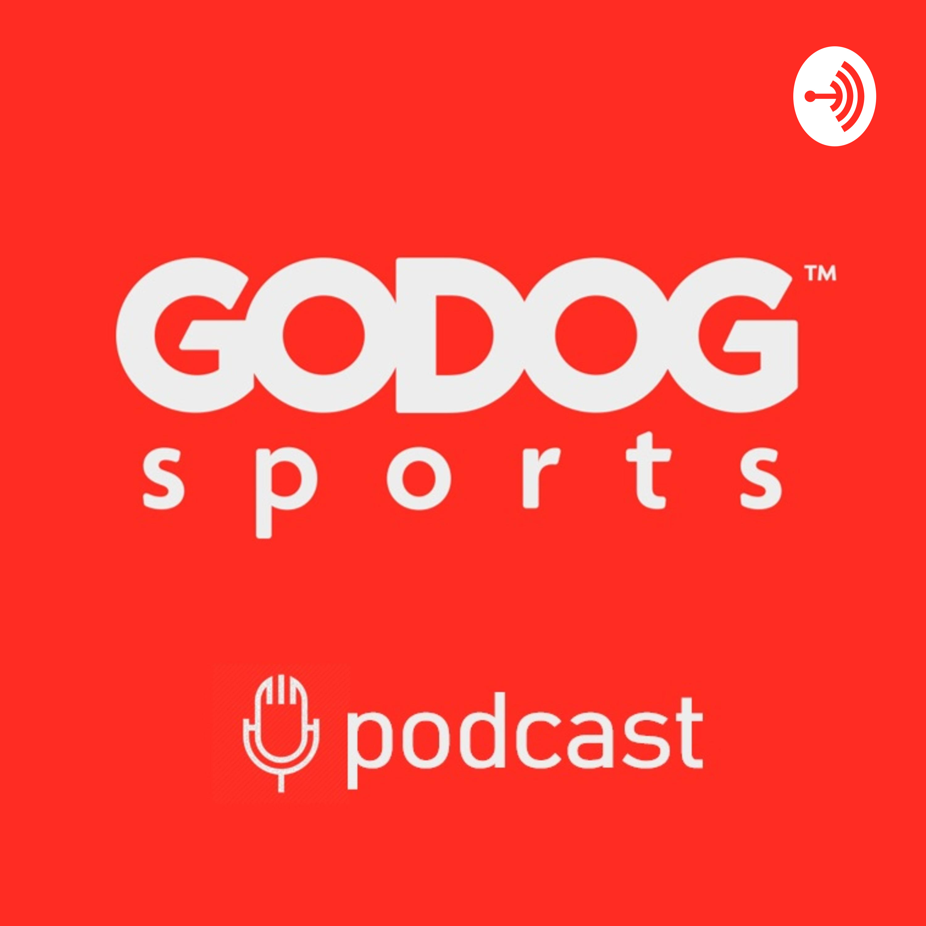 GoDog Sports | Youth Sports Coaching & Development